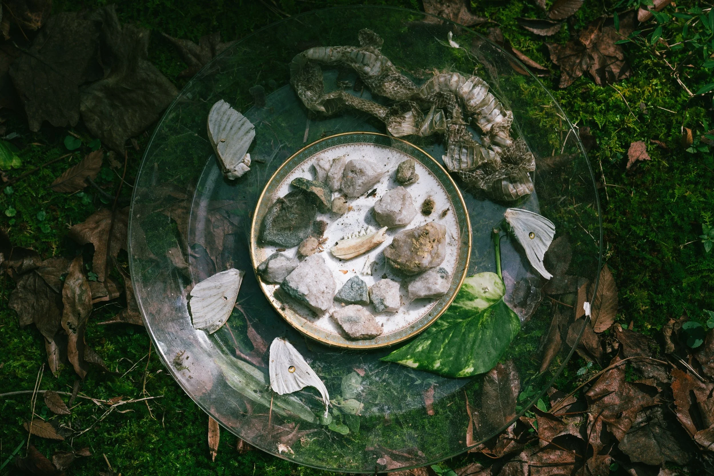 "Offering" by photographer Allie Mullin | Allie's 31 Days of Halloween at Main Street Station Gallery | The Crone House in Richmond, VA