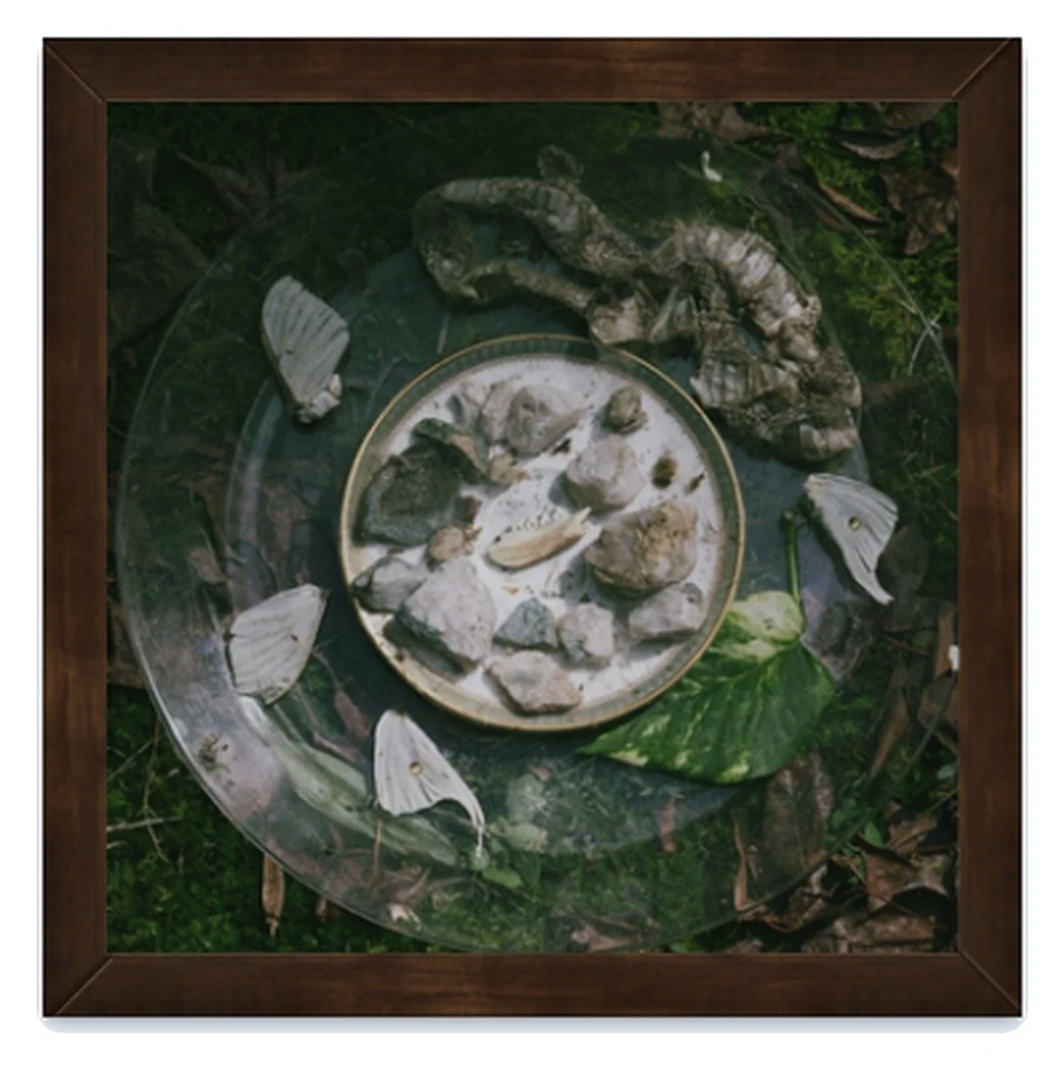 "Offering" by photographer Allie Mullin | Allie's 31 Days of Halloween at Main Street Station Gallery | The Crone House in Richmond, VA