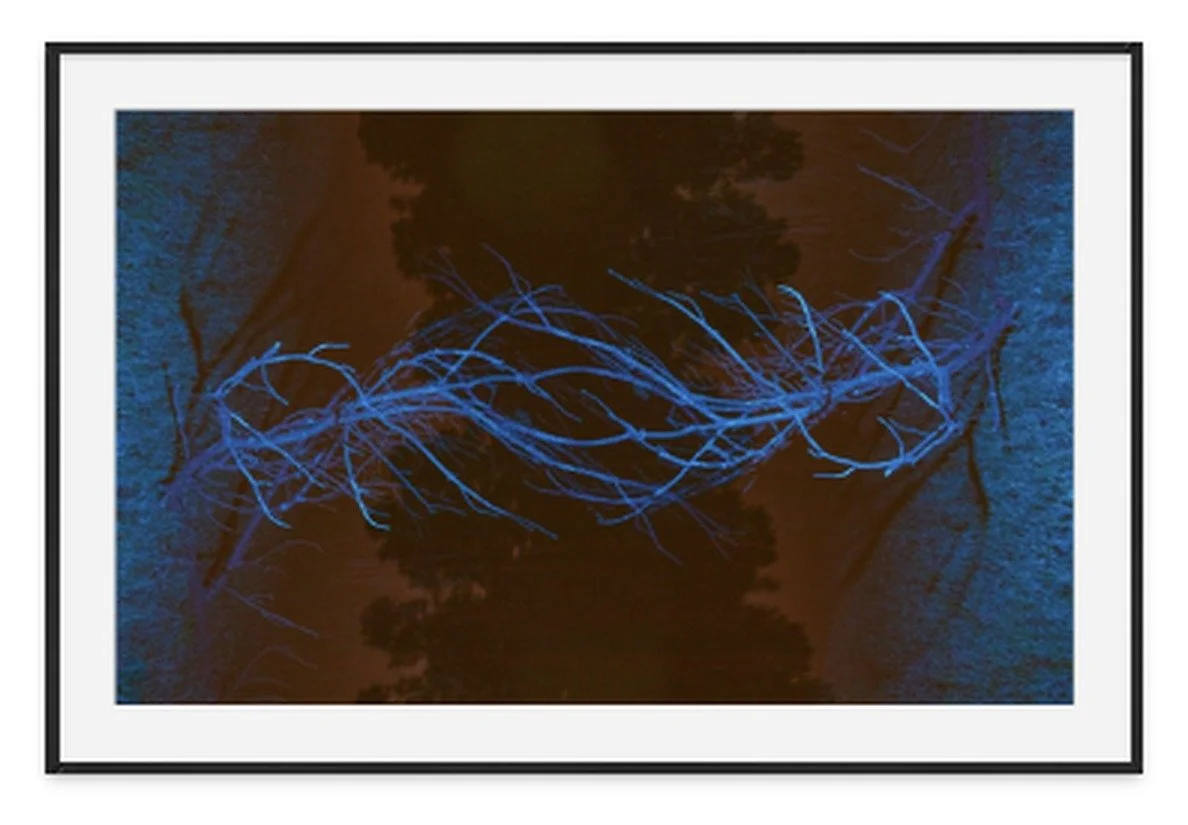 "Portal" by photographer Allie Mullin | Allie's 31 Days of Halloween at Main Street Station Gallery | The Crone House in Richmond, VA