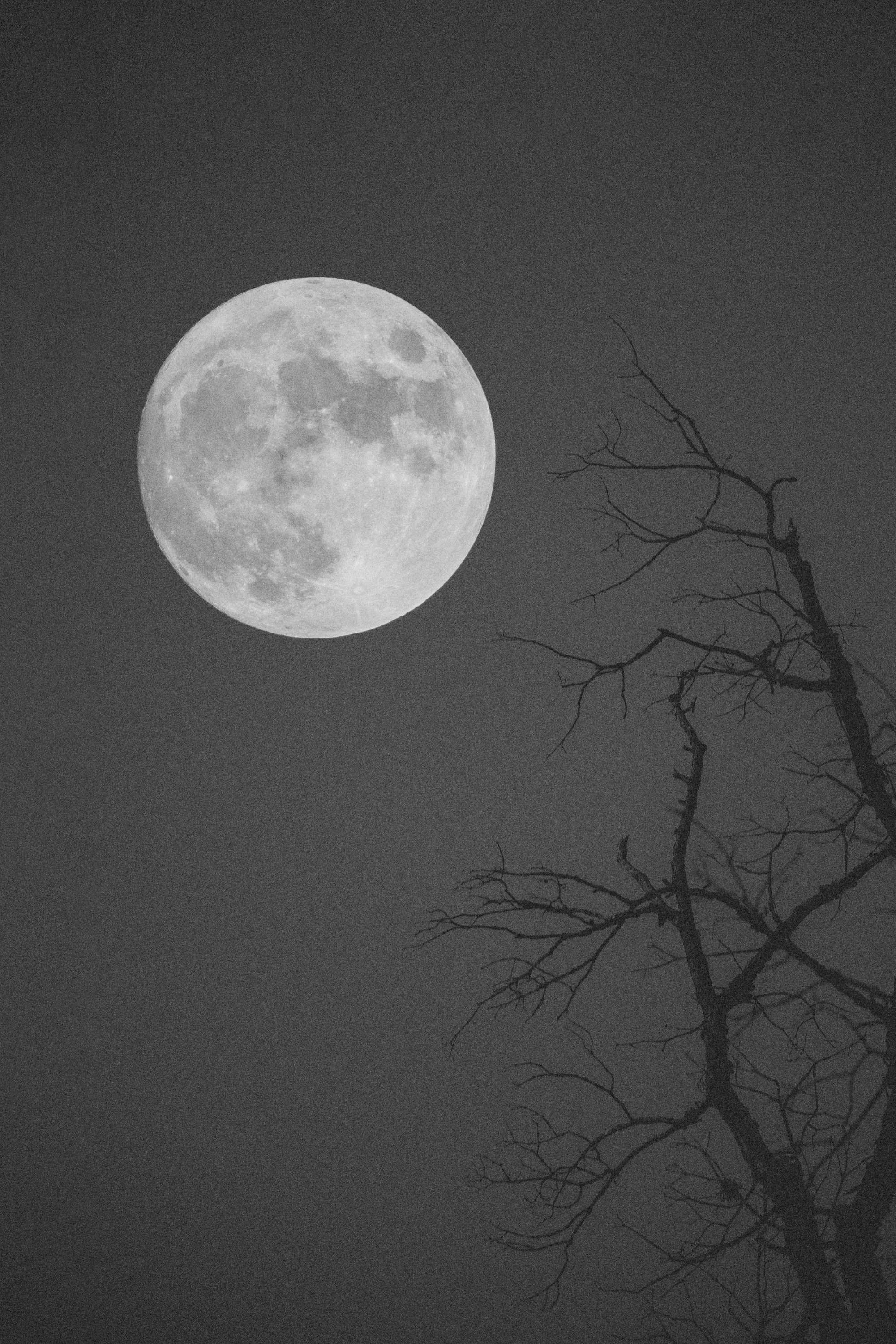 "Risen" by photographer Allie Mullin | Allie's 31 Days of Halloween at Main Street Station Gallery | The Crone House in Richmond, VA