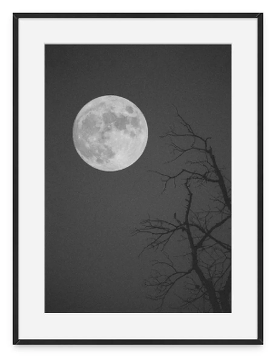 "Risen" by photographer Allie Mullin | Allie's 31 Days of Halloween at Main Street Station Gallery | The Crone House in Richmond, VA