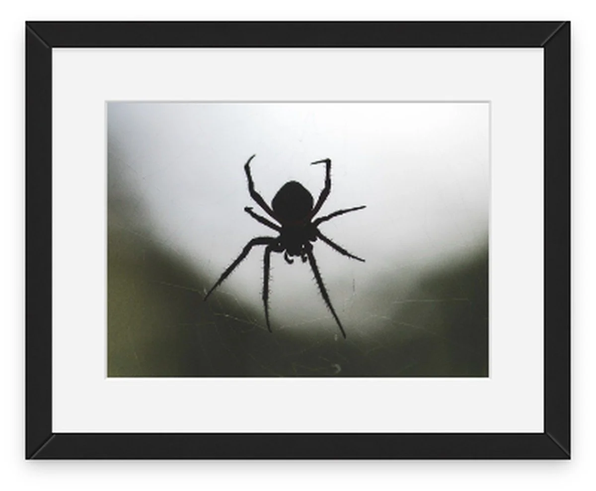 "Weave" by photographer Allie Mullin | Allie's 31 Days of Halloween at Main Street Station Gallery | The Crone House in Richmond, VA