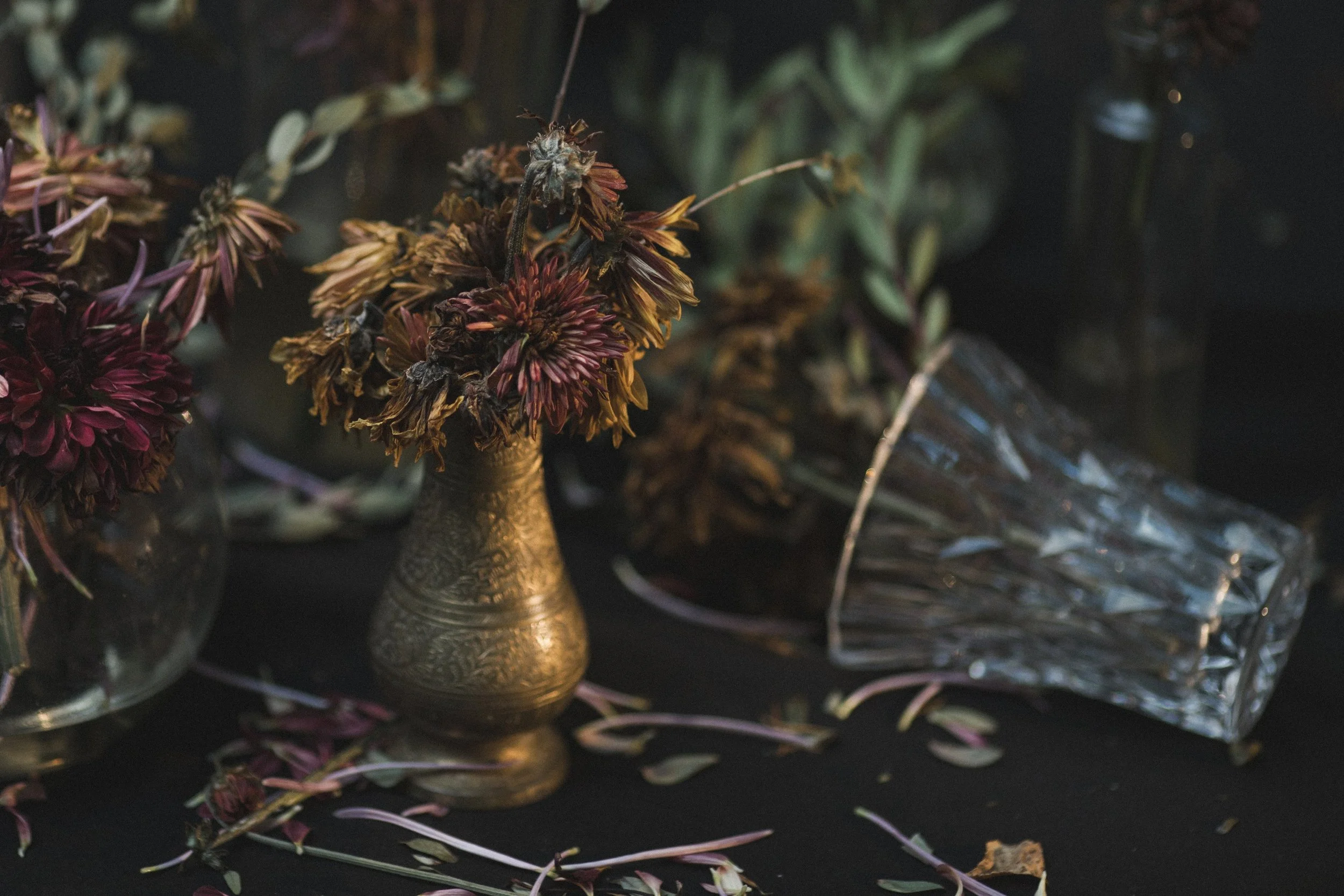 "Wither" by photographer Allie Mullin | Allie's 31 Days of Halloween at Main Street Station Gallery | The Crone House in Richmond, VA