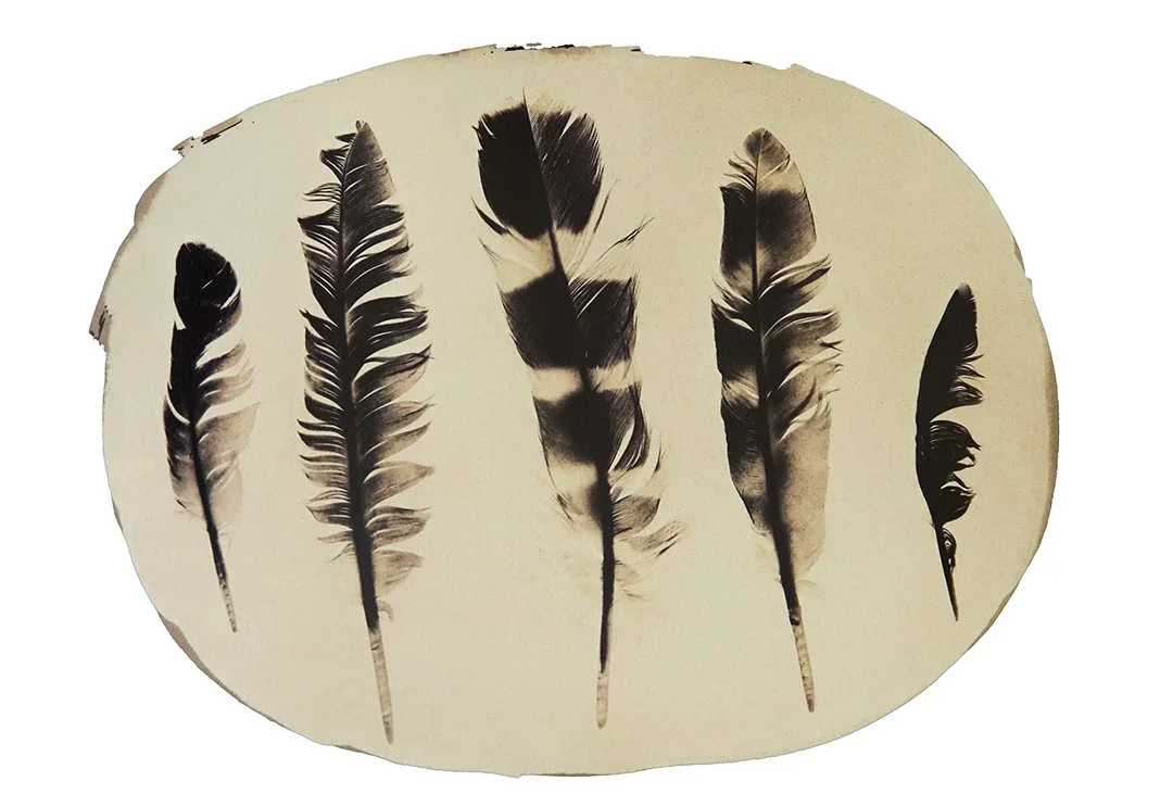 print_fivefeathers-INVERSE.webp