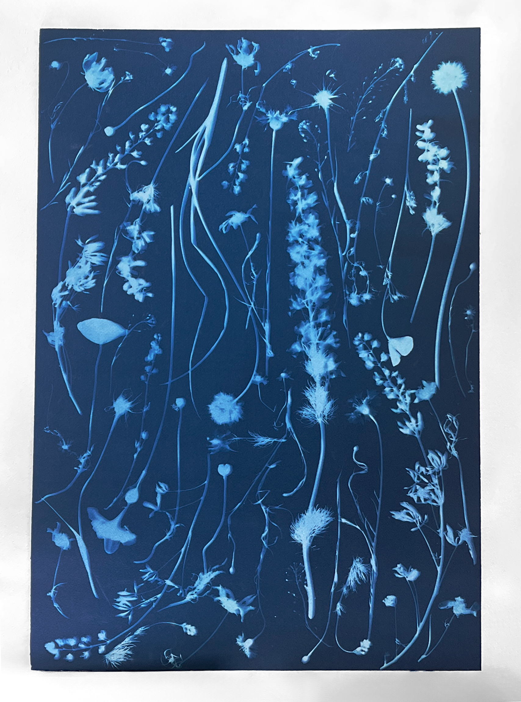 Chaos Blooms – Katharine T. Jacobs – @APOTHEC