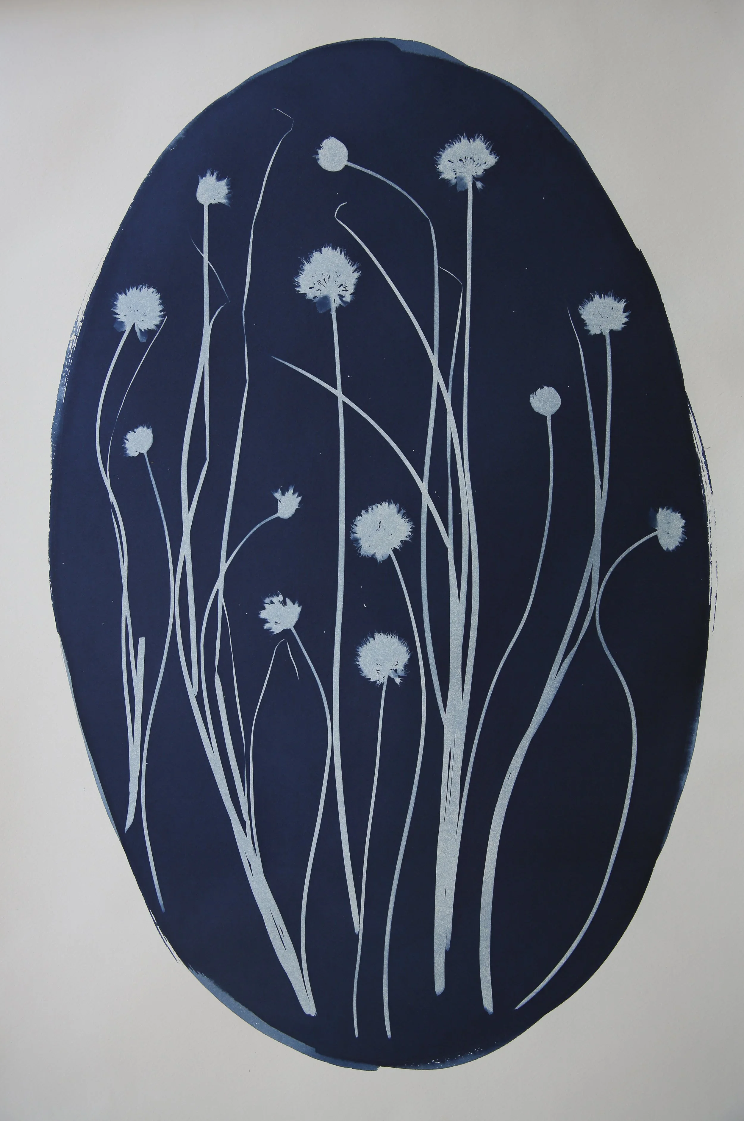 Chives – Katharine T. Jacobs