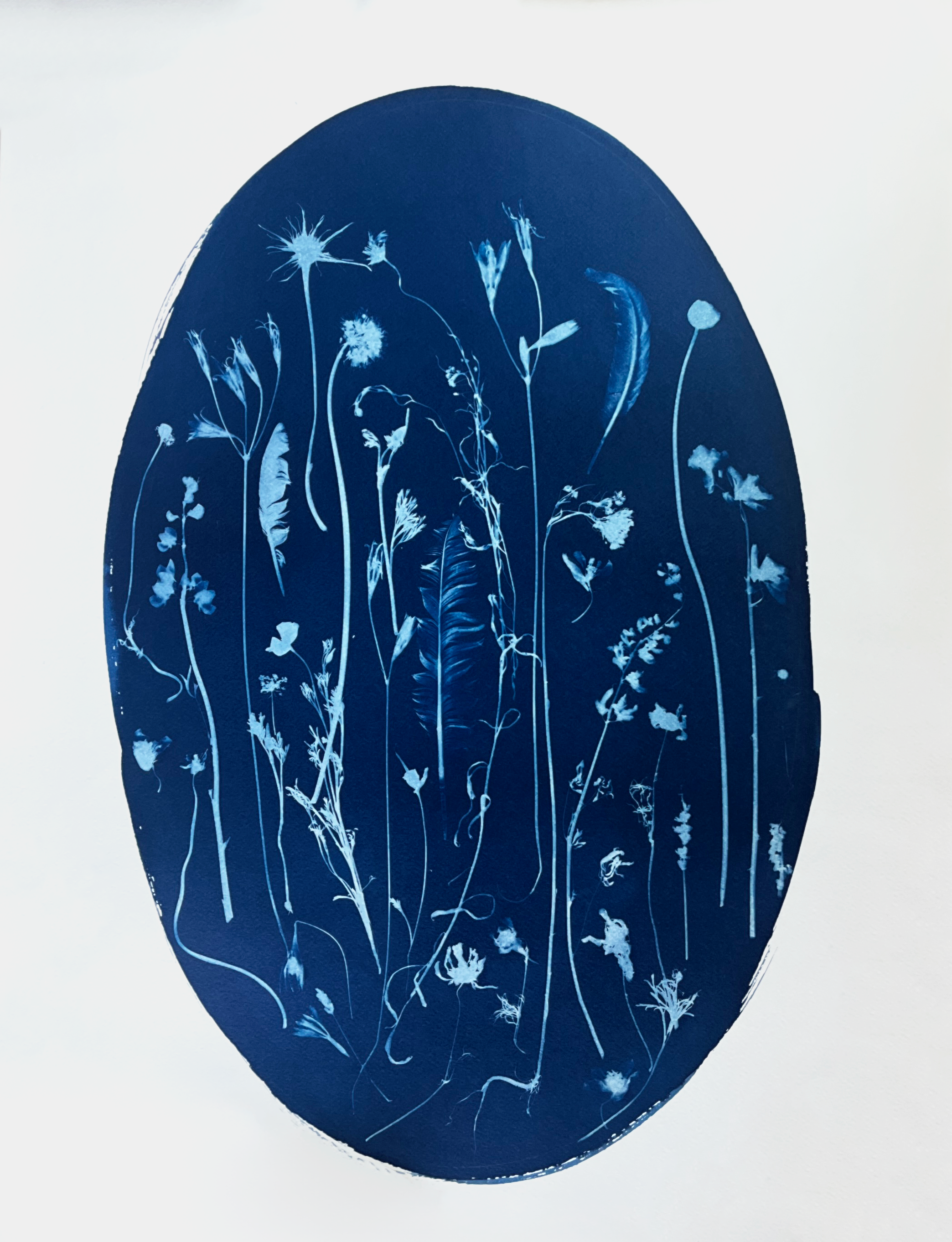 Line Up – Katharine T. Jacobs