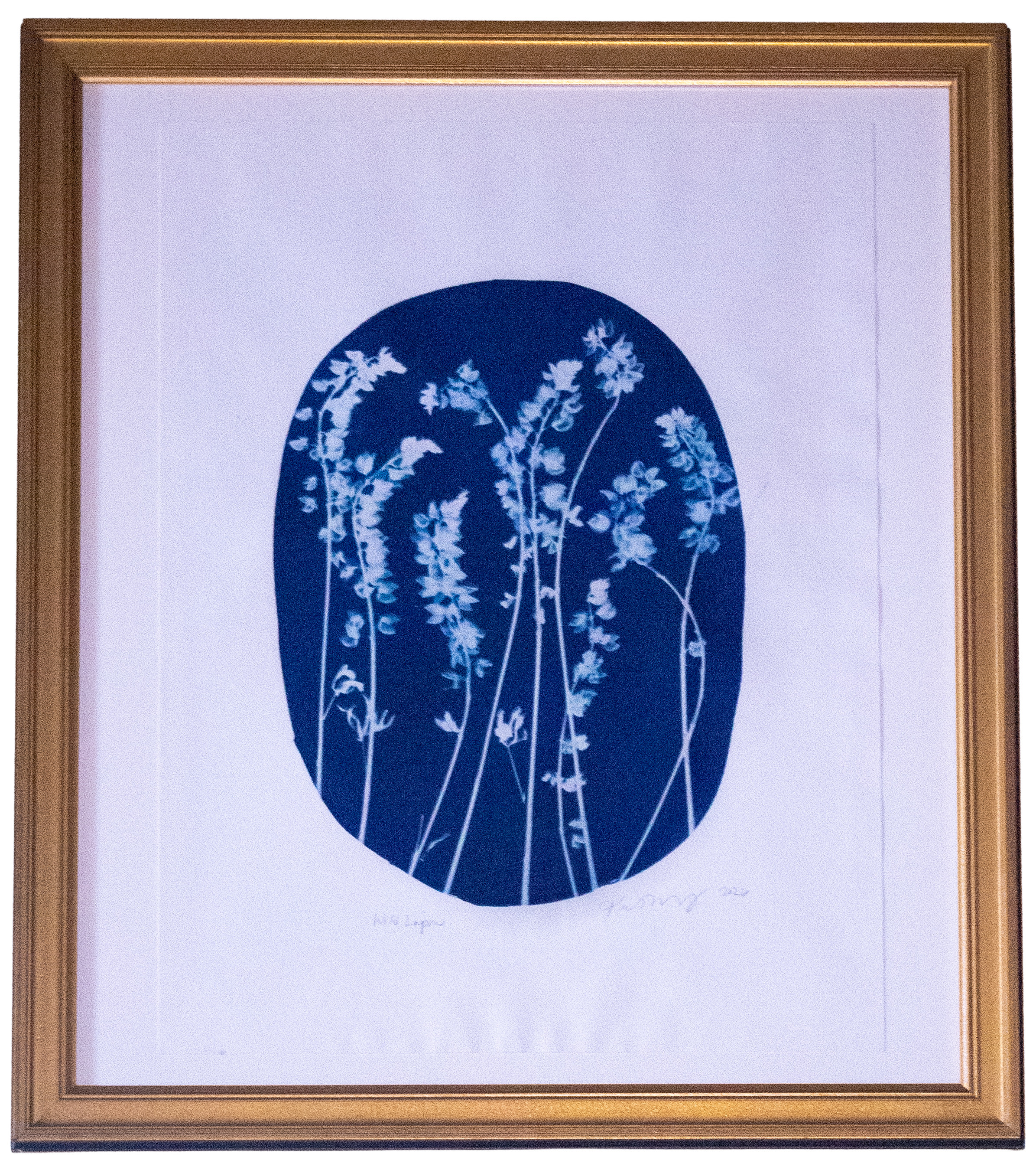 Wild Lupine (Oval) – Katharine T. Jacobs