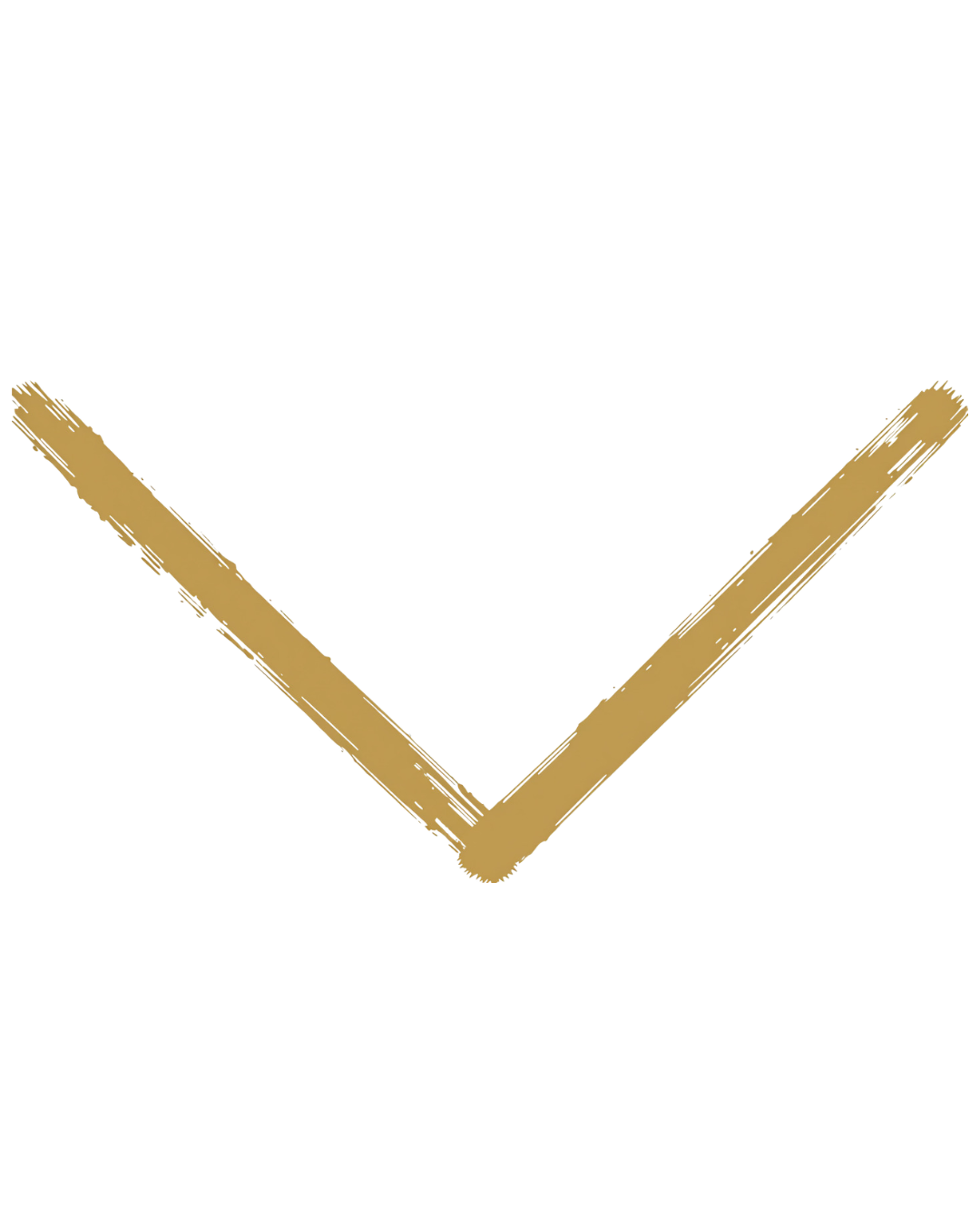 Bamboo brush-style gold chevron icon