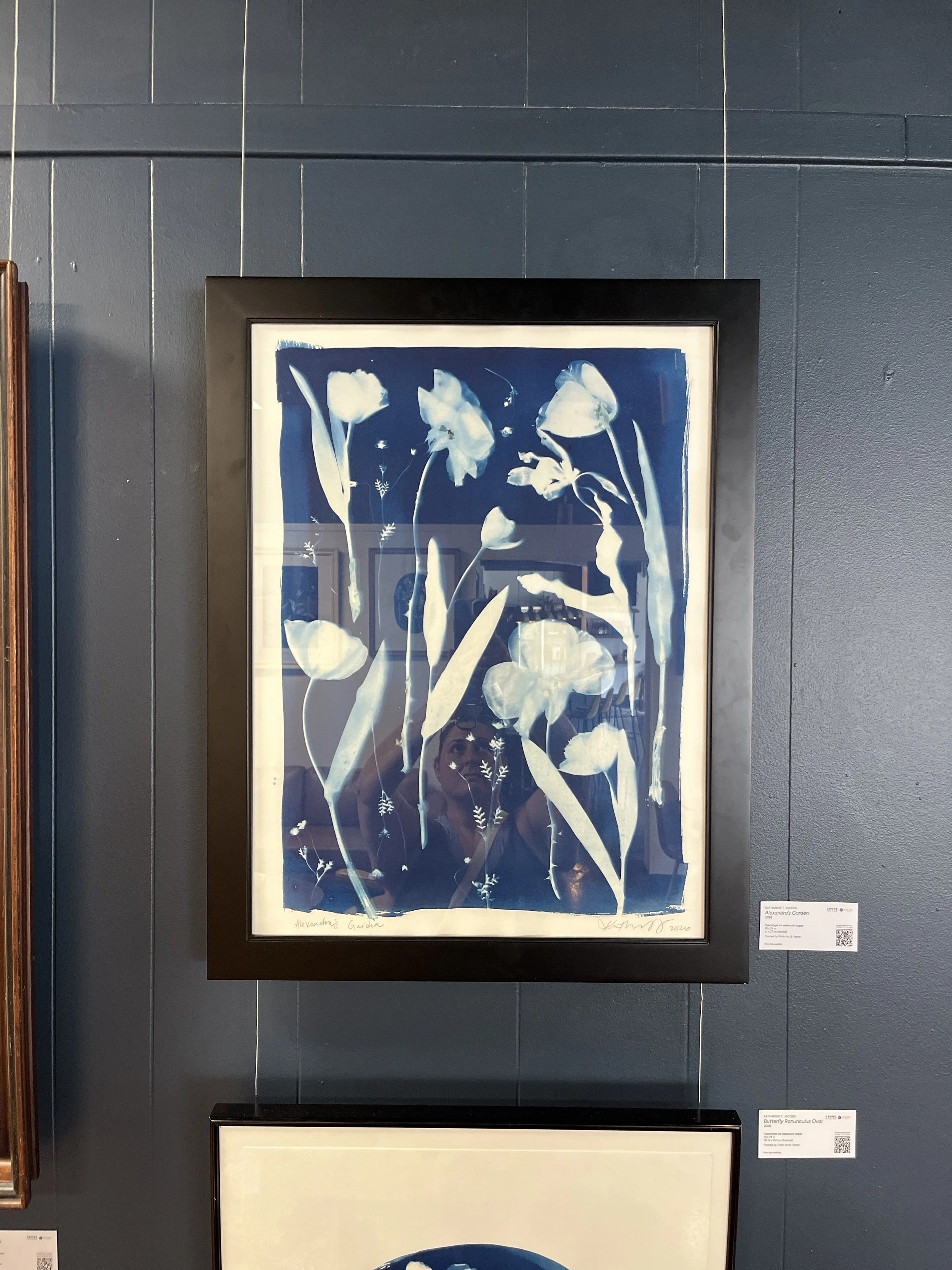 "Alexandra’s Garden" Cyanotype by Katharine T. Jacobs at Blue Bee Cider | The Crone House in Richmond, VA