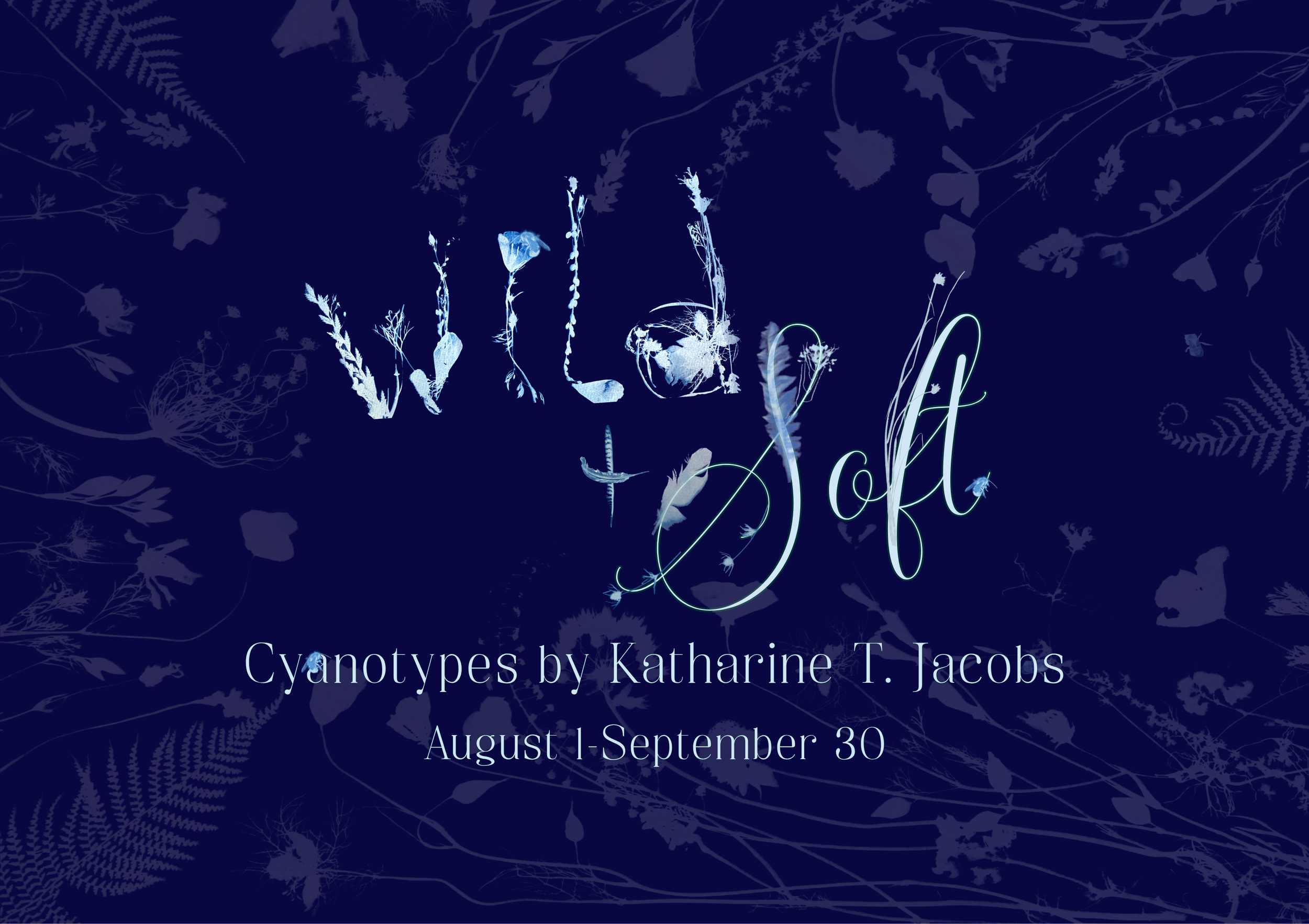 WILD & SOFT: CYANOTYPES BY KATHARINE T. JACOBS