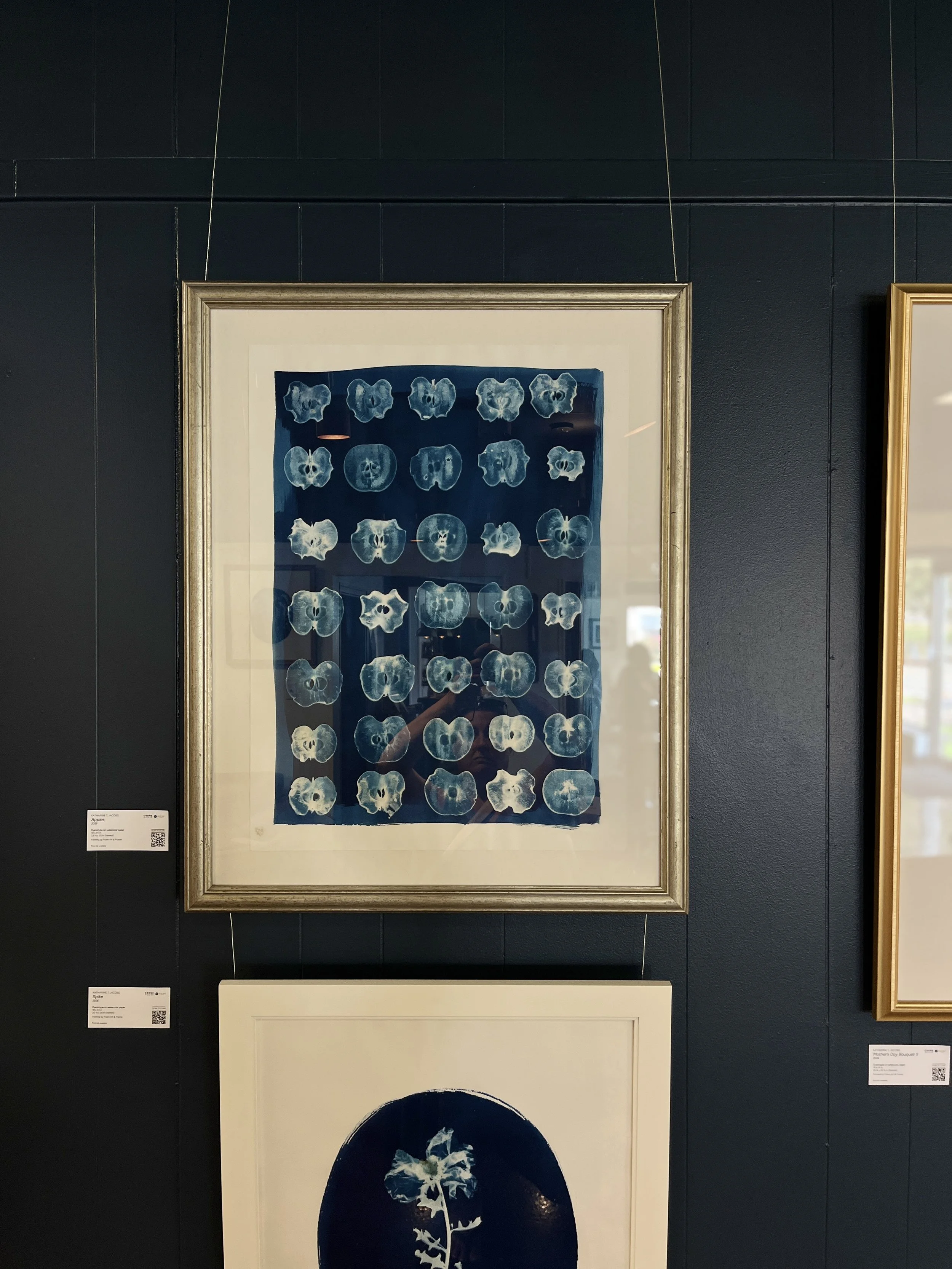 "Apples" | Cyanotype by Katharine T. Jacobs at Blue Bee Cider | Crone House in Richmond, VA