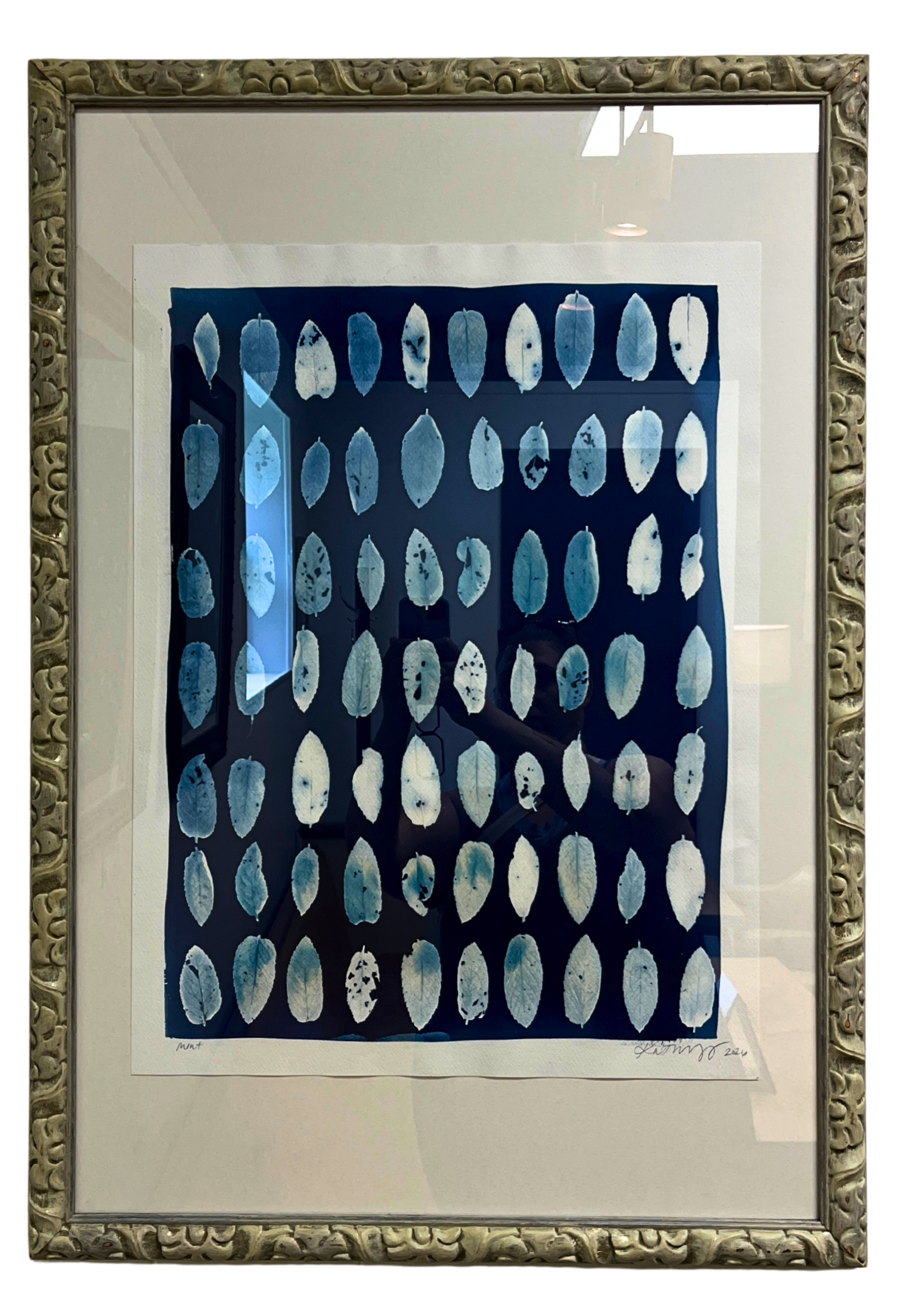 Mint – Katharine T. Jacobs