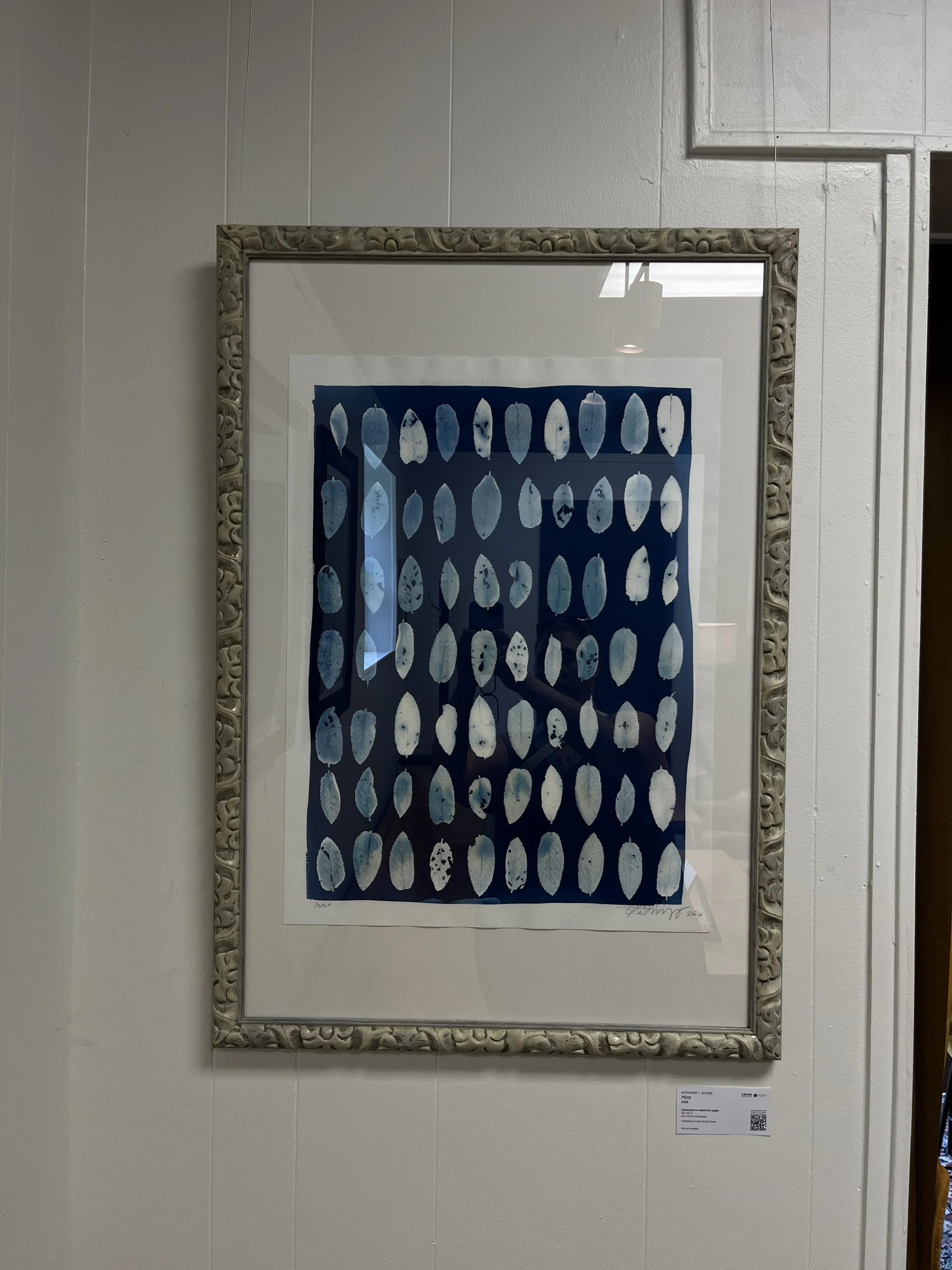 "Mint" | Cyanotype by Katharine T. Jacobs at Blue Bee Cider | Crone House in Richmond, VA