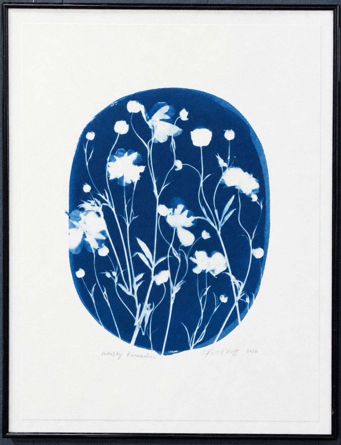 Butterfly Ranunculus Oval – Katharine T. Jacobs