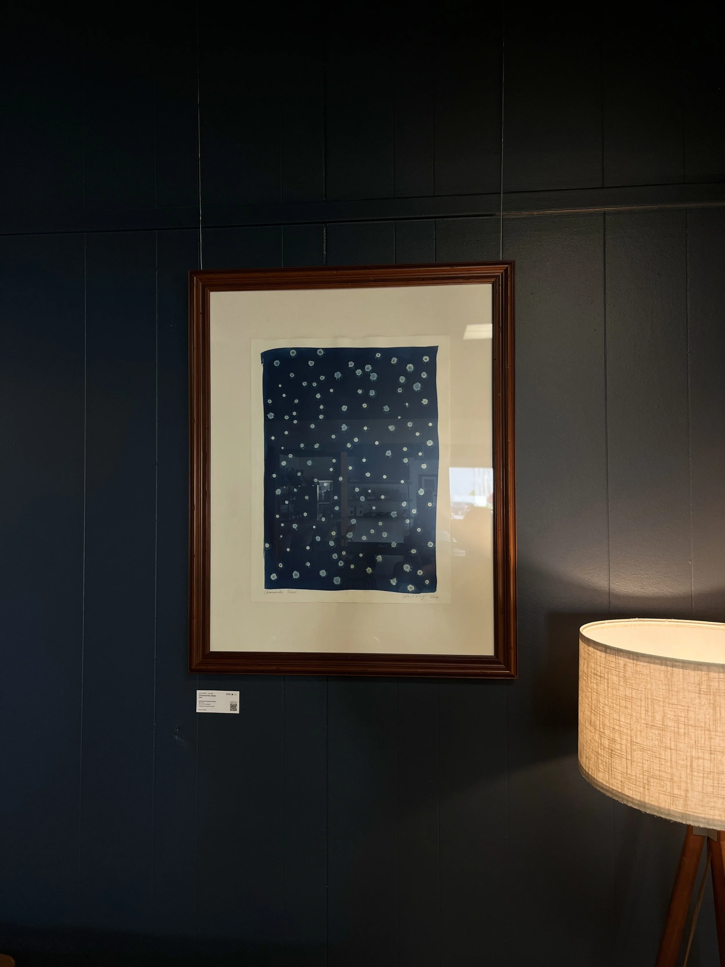 "Chamomile Skies" | Cyanotype by Katharine T. Jacobs at Blue Bee Cider | Crone House in Richmond, VA