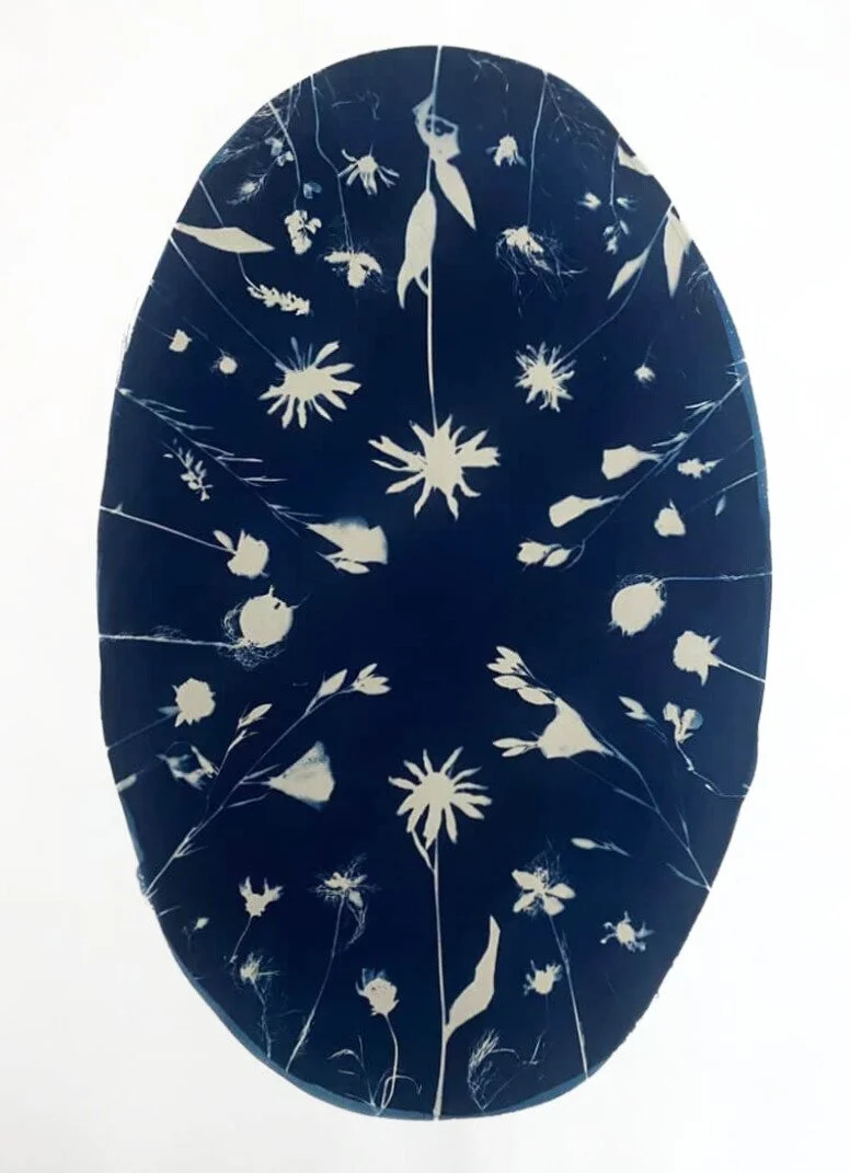 Daisy Dance – Katharine T. Jacobs