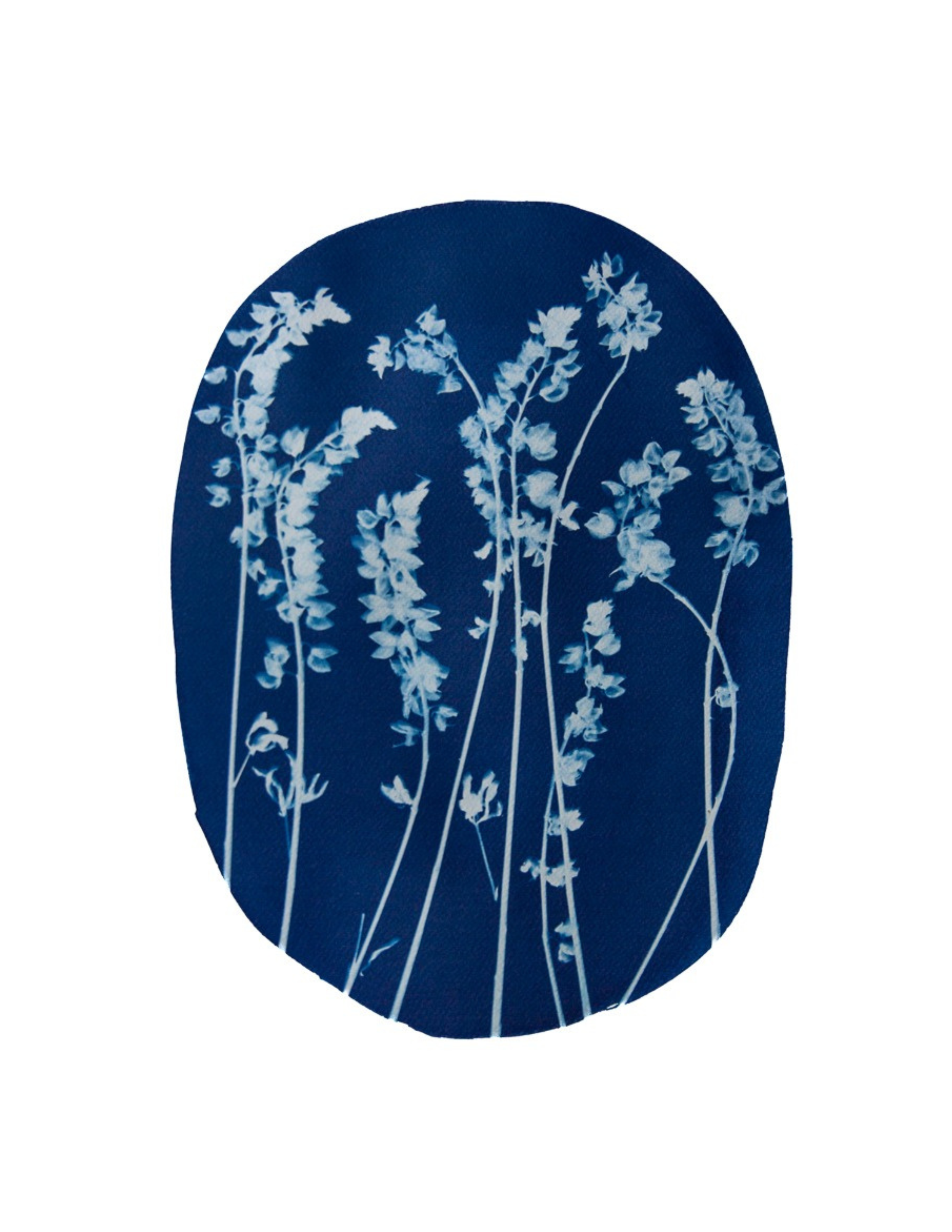 Wild Lupine (Oval) – Katharine T. Jacobs