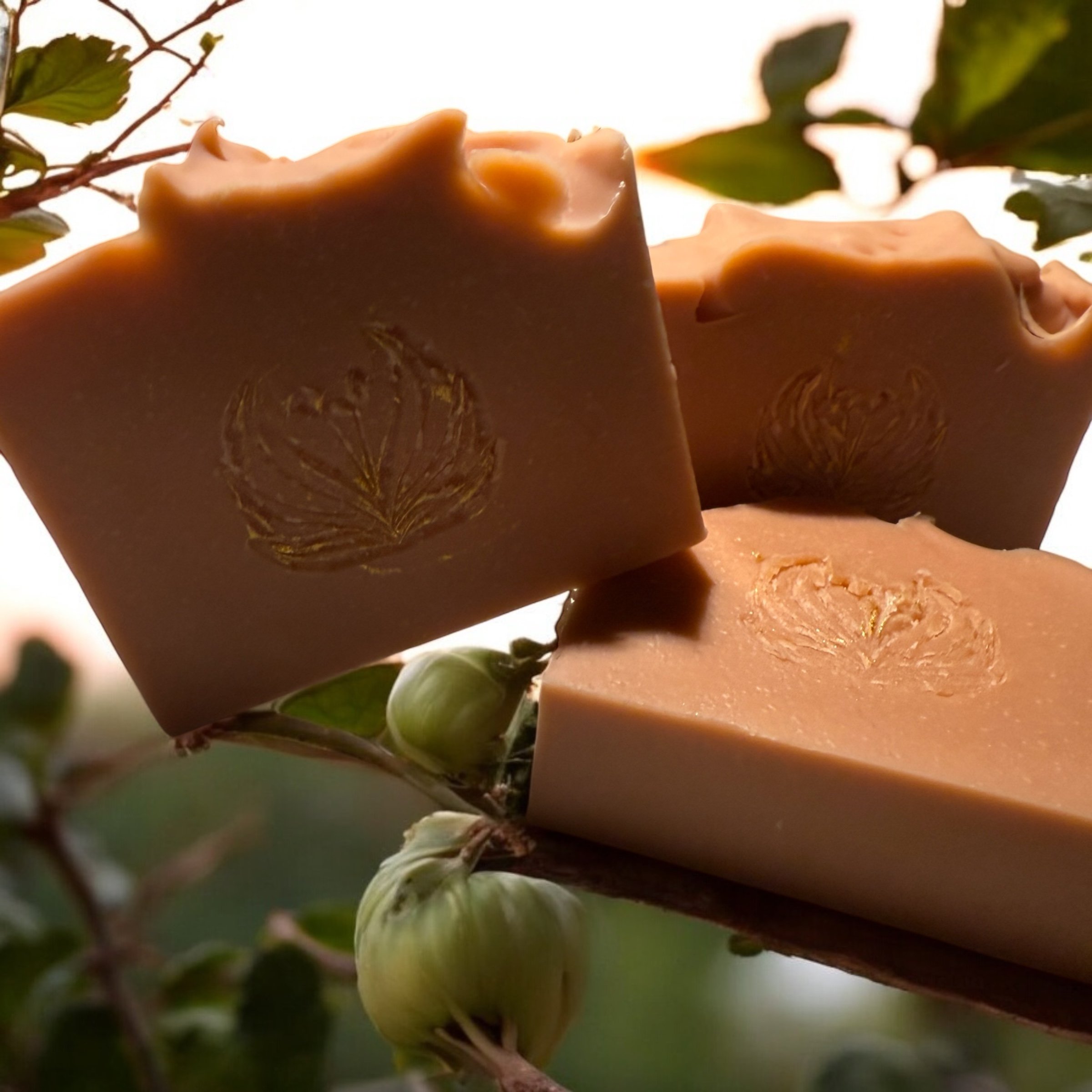 Jersey Tomato Soap (not soup)