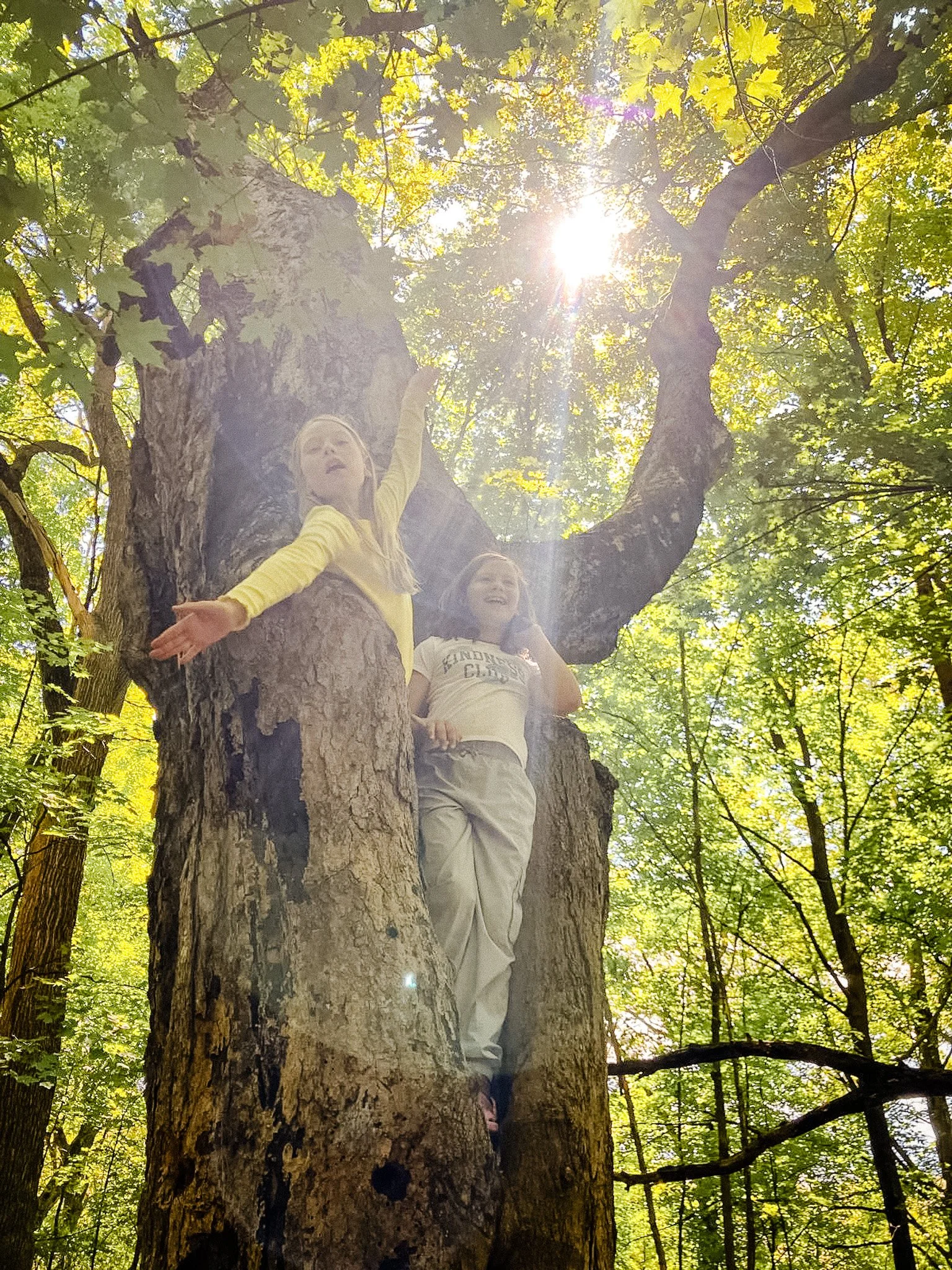 Two students pose inside a large tree hollow surrounded by trees on the River Grove Elementary campus.