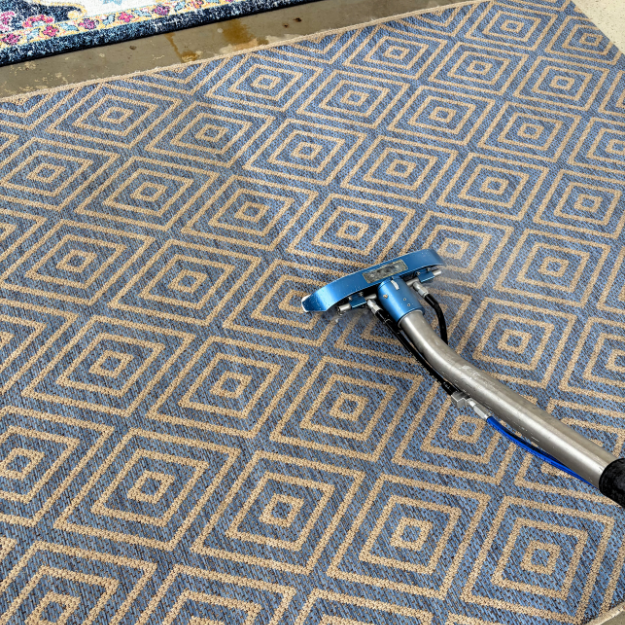Carpet cleaner scrubbing a rug
