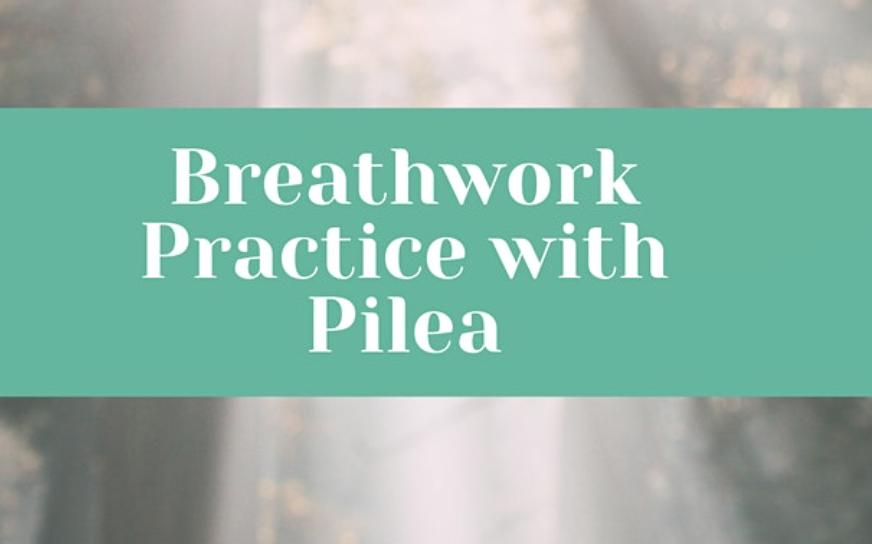 Virtual Breathwork w/ Pilea