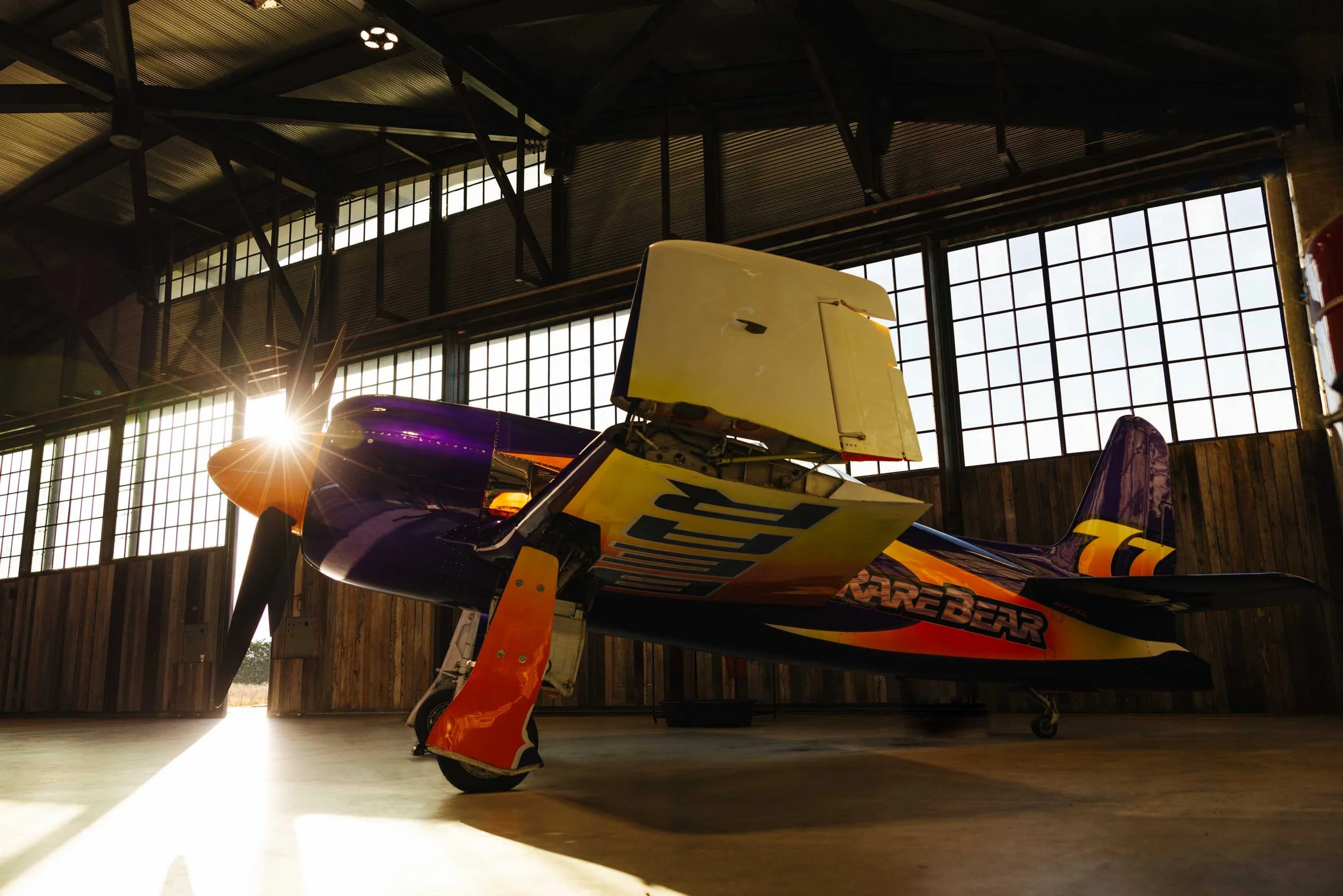 Rare Bear — Lewis Air Legends