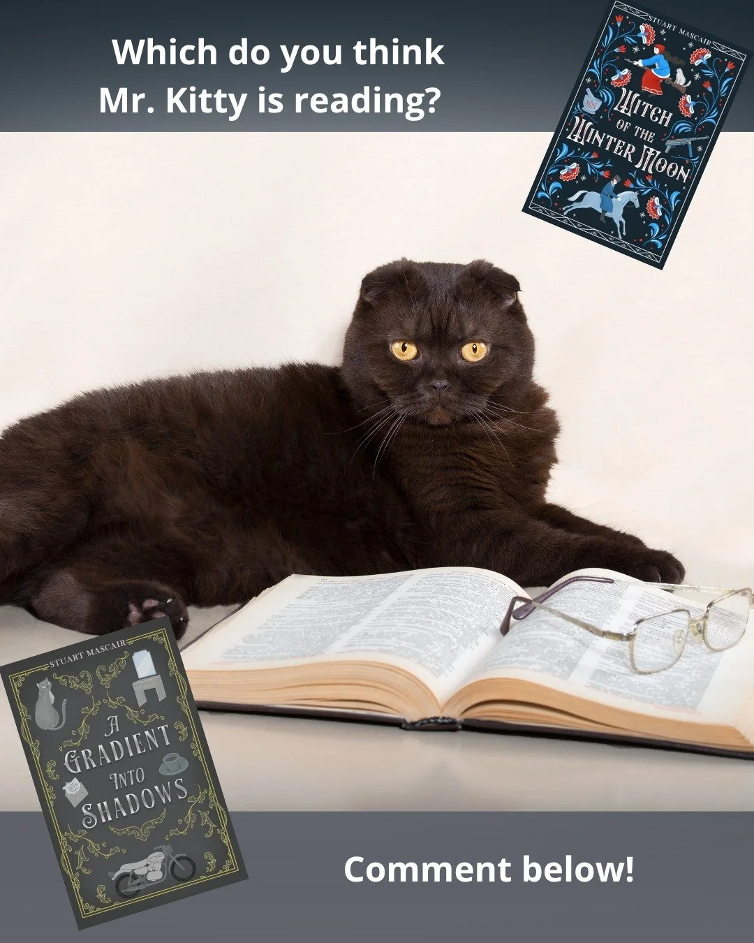 Cats in both books, but here's the big question, which book do you think our cat friend here is reading? Maybe one after the other? Tell me what you think! 
And if you want to experience these books for yourself
📖 Get your copy at stuartmascair.com
