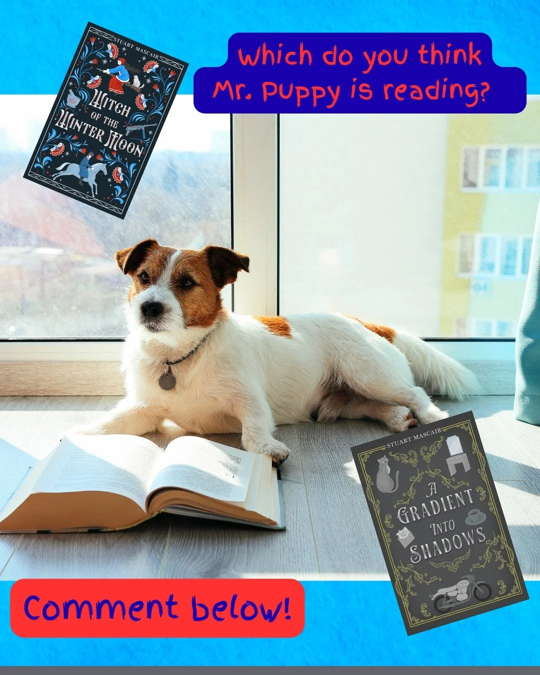 📚🐾 Mr. Puppy has settled in with a good book... but which one did he choose? 🤔

Did he curl up with the magical adventure of Witch of the Winter Moon ❄️🌙 or dive into the mystery and intrigue of Gradient Into Shadows 🌑✨?

Cast your vote in the c