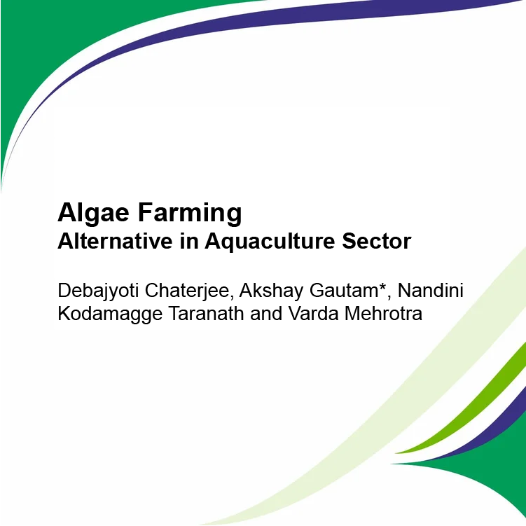 Algae Farming: Alternative in Aquaculture Sector