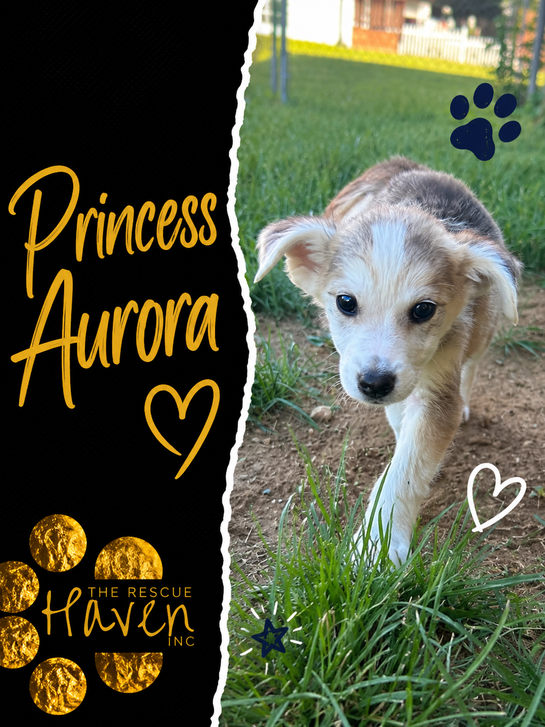Princess Aurora