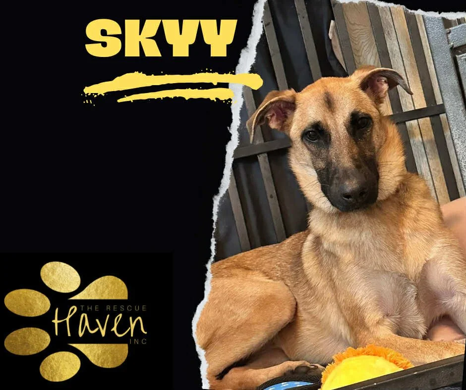 Skyy
