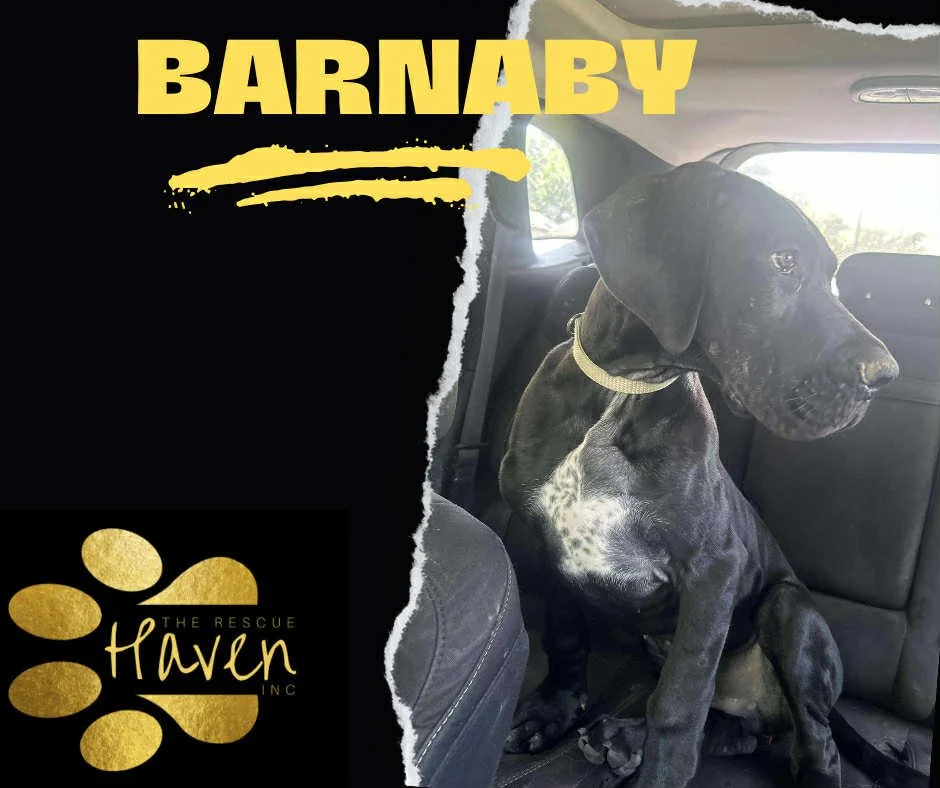 Barnaby