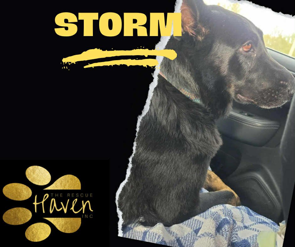 Storm