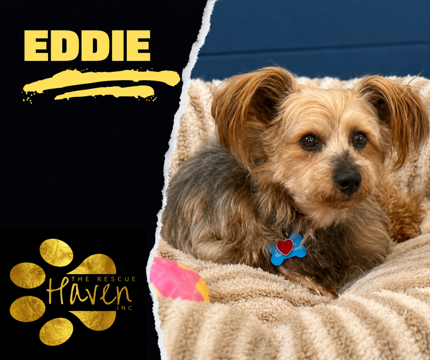 Eddie