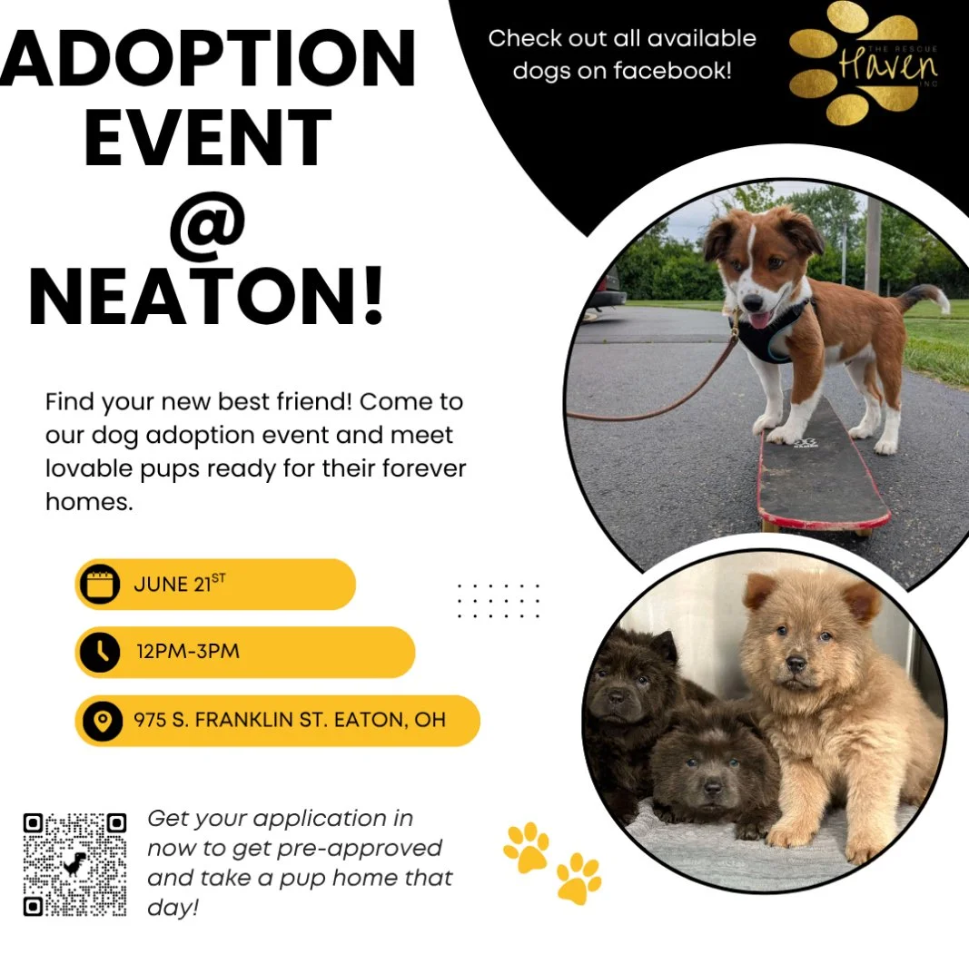 Adoption Event: Neaton