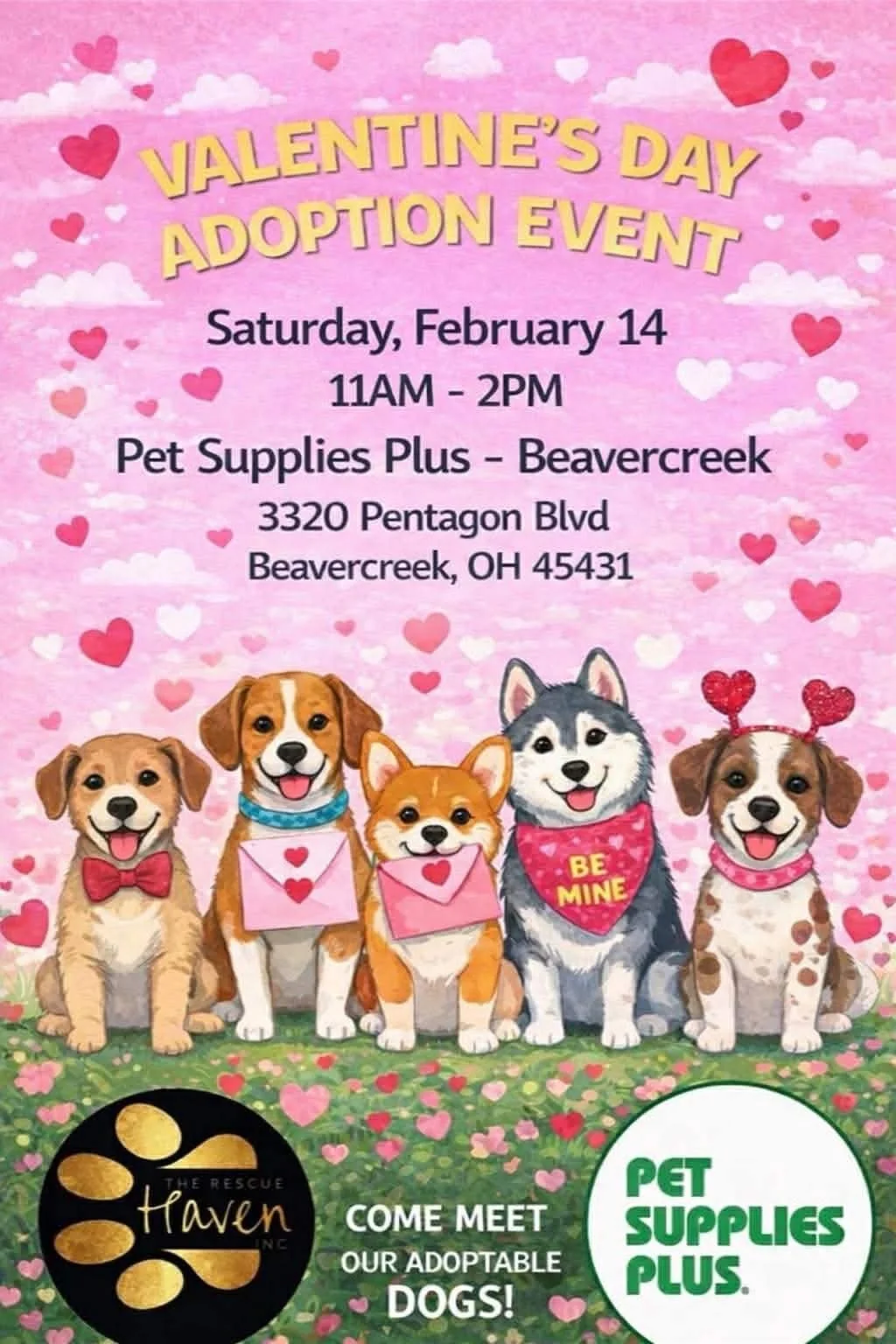 Adoption Event: Pet Supplies Plus - Beavercreek