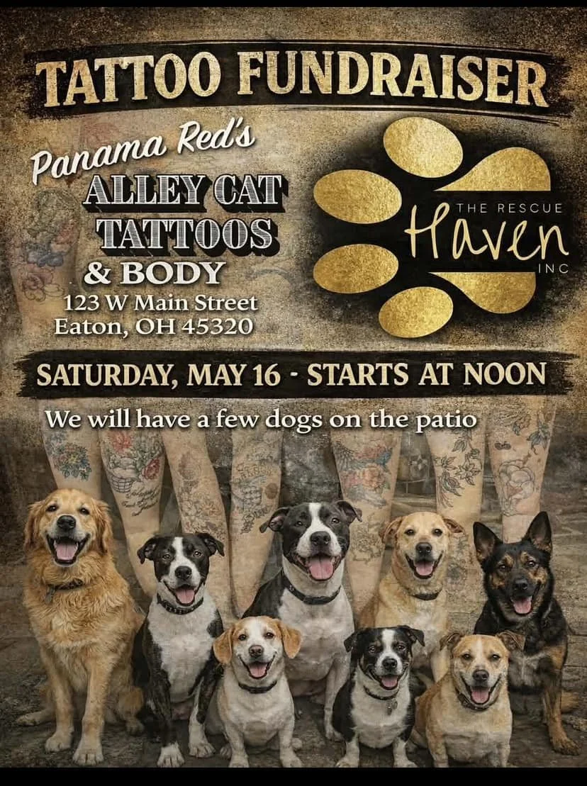 Alley Cat Tattoo Fundraiser