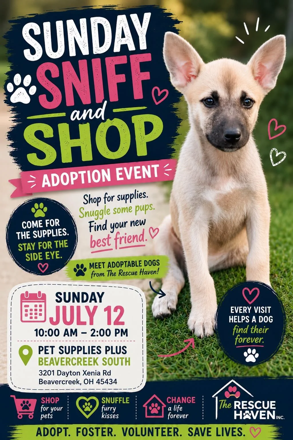 Sunday Sniff and Shop