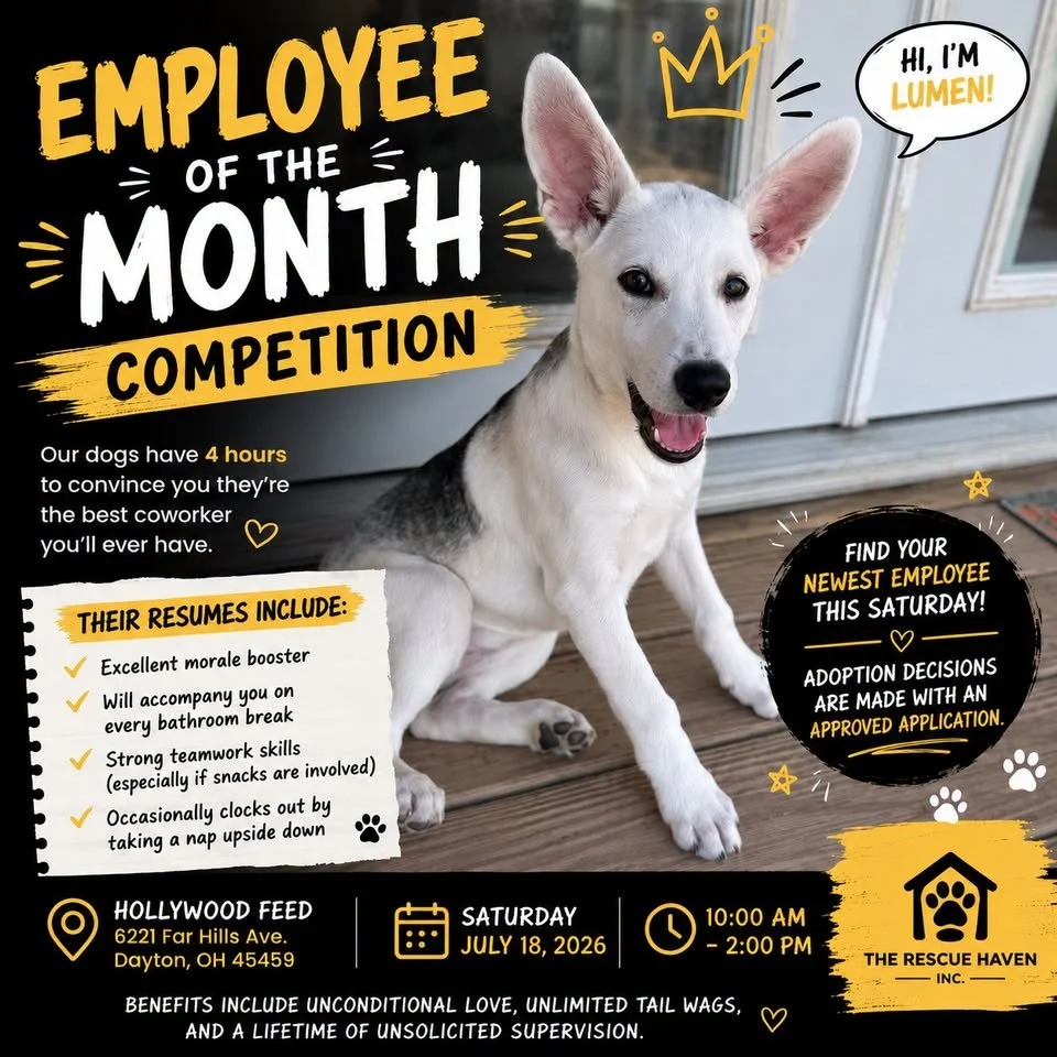 Employee of the Month Adoption Event