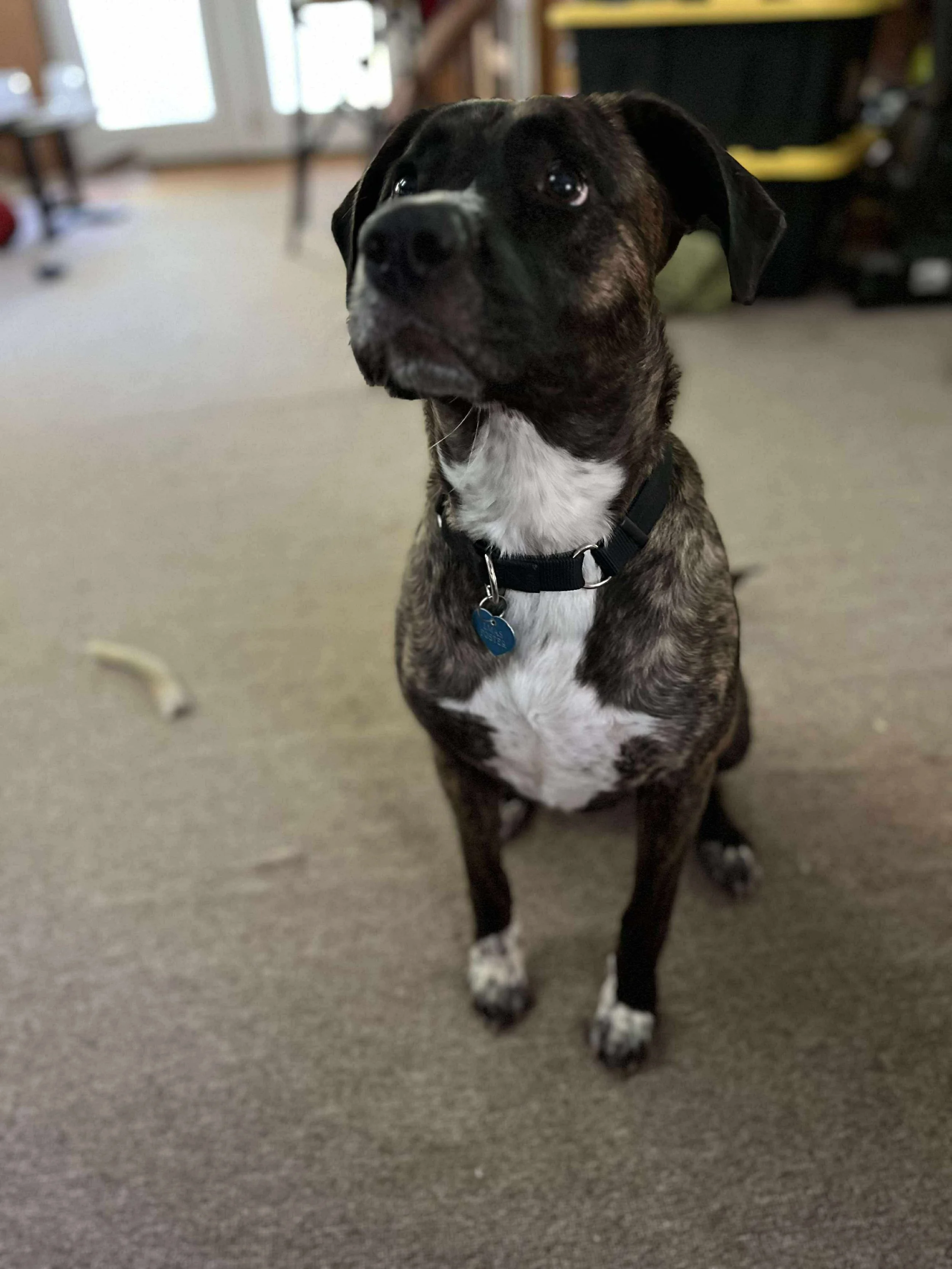 f057628312596ab7aedd36e68632b093.jpeg