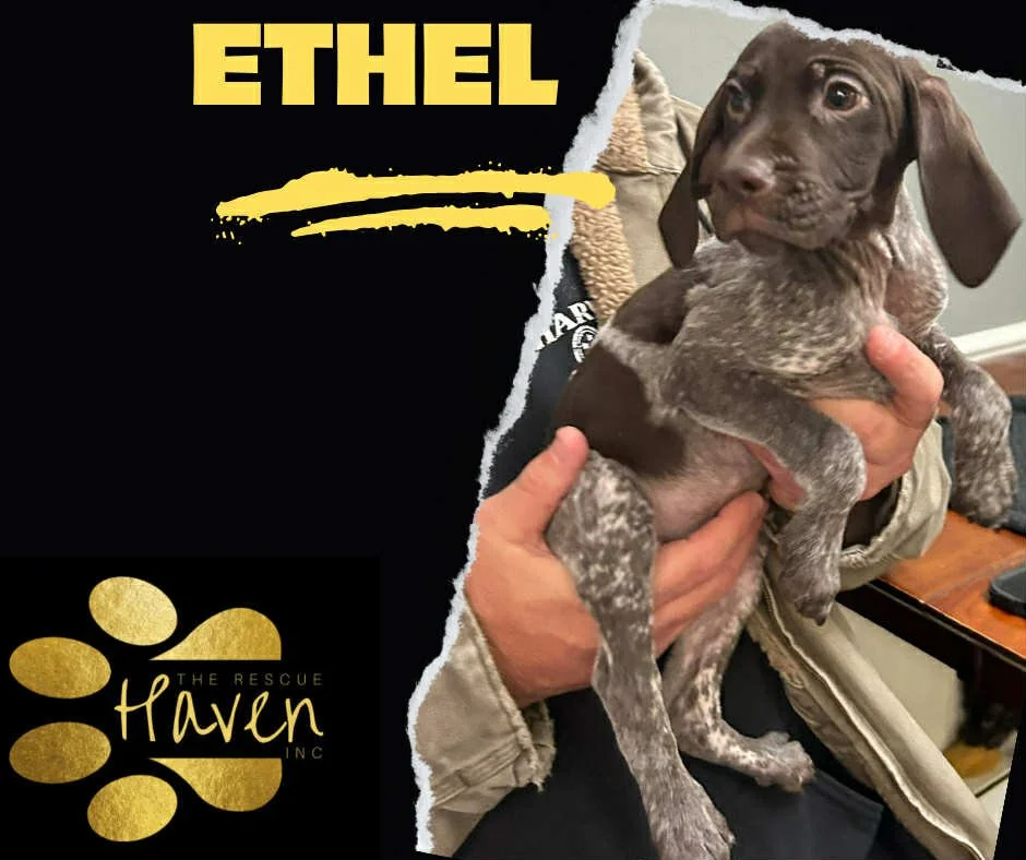 Ethel