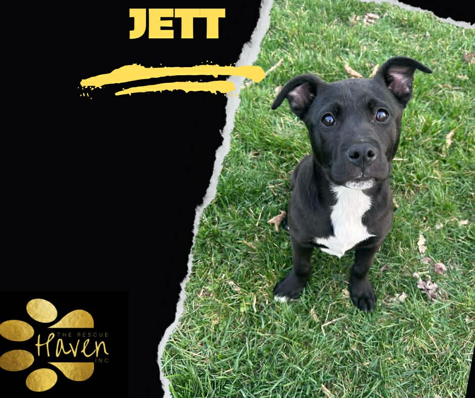 Jett