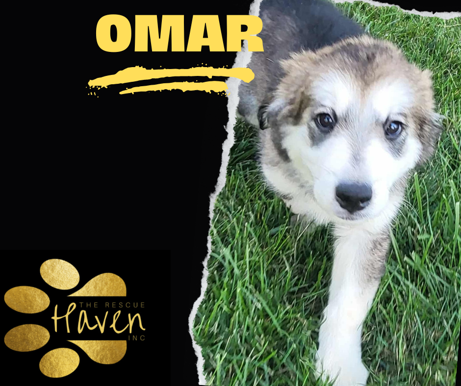 Omar