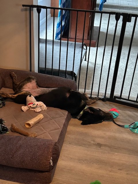 Is This Comfortable (1).jpeg