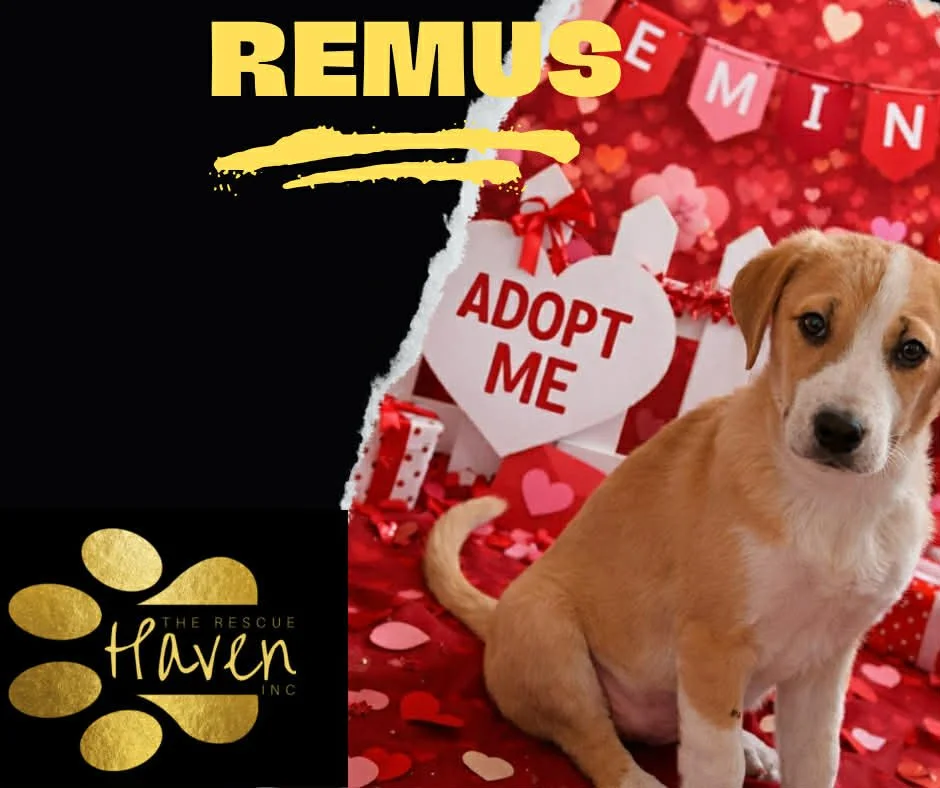 Remus