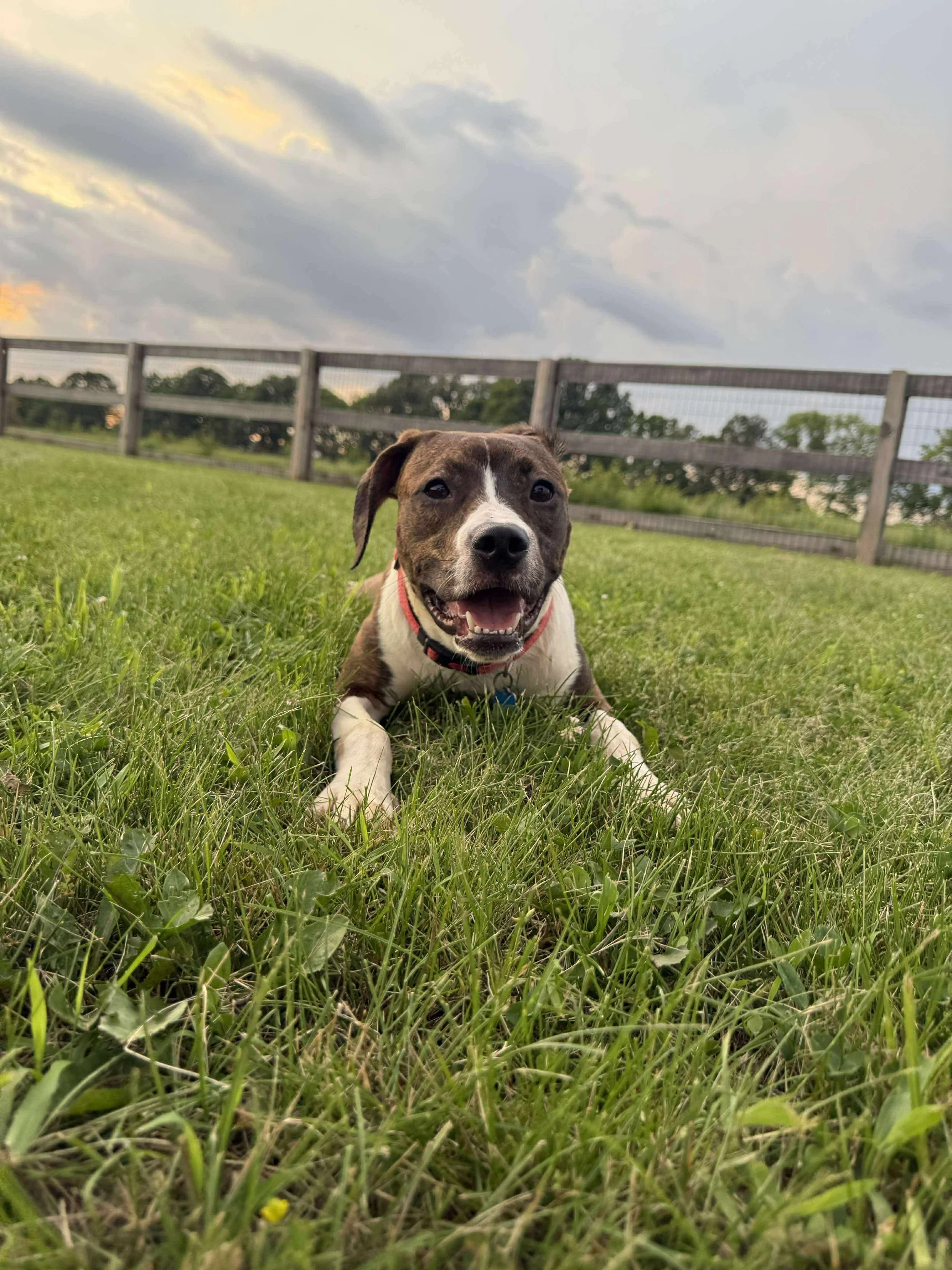 a5d3a1bded7095ff09657ad297d68a68.jpeg