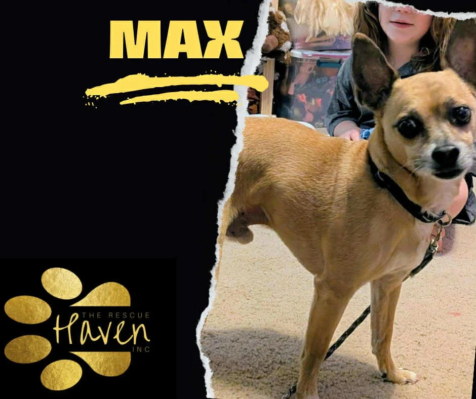 Max