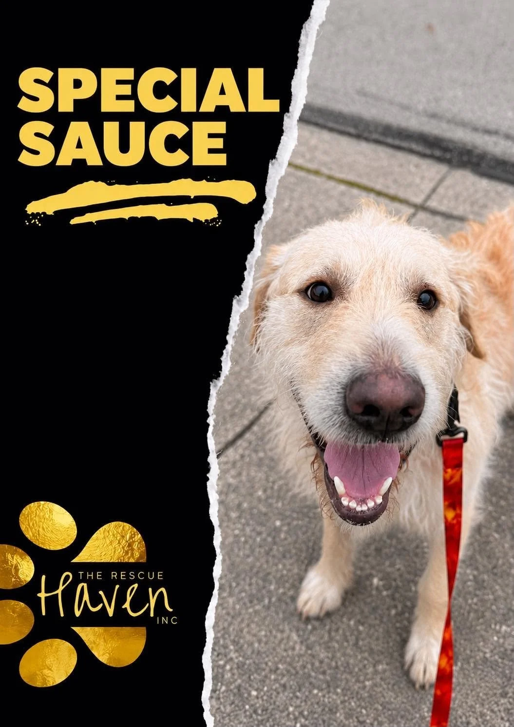Special Sauce