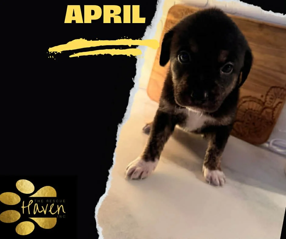 April